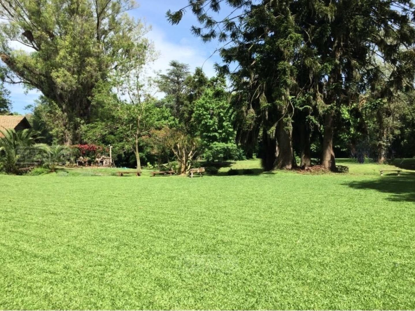 Expansive green lawn surrounded by mature trees in a private garden estate in Ingeniero Maschwitz.