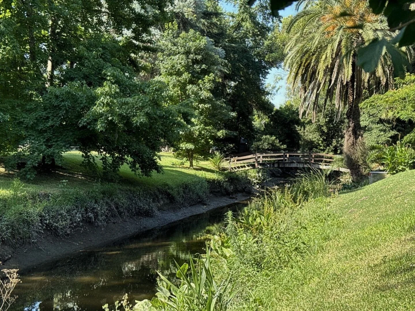Natural creek with wooden footbridge surrounded by mature trees at a private estate in Ingeniero Maschwitz, Buenos Aires.
