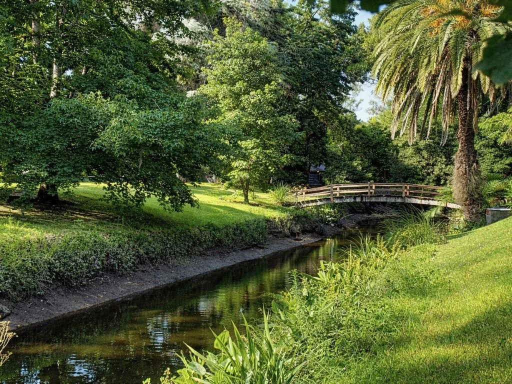 Country house in Argentina surrounded by lush greenery, with a small creek running through the property and a wooden footbridge in a tranquil natural setting.
