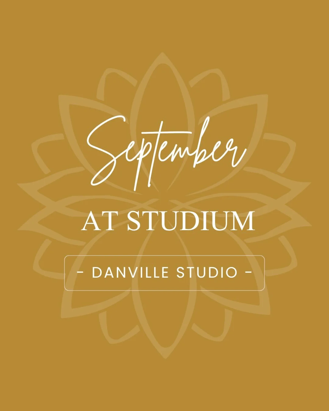 September brings turning leaves, the peak of harvest, a few schedule changes at the Danville Studio, and a Back to School Special on our Monthly Unlimited Membership!

We look forward to moving with you this month. 💕

Please note that we will be clo