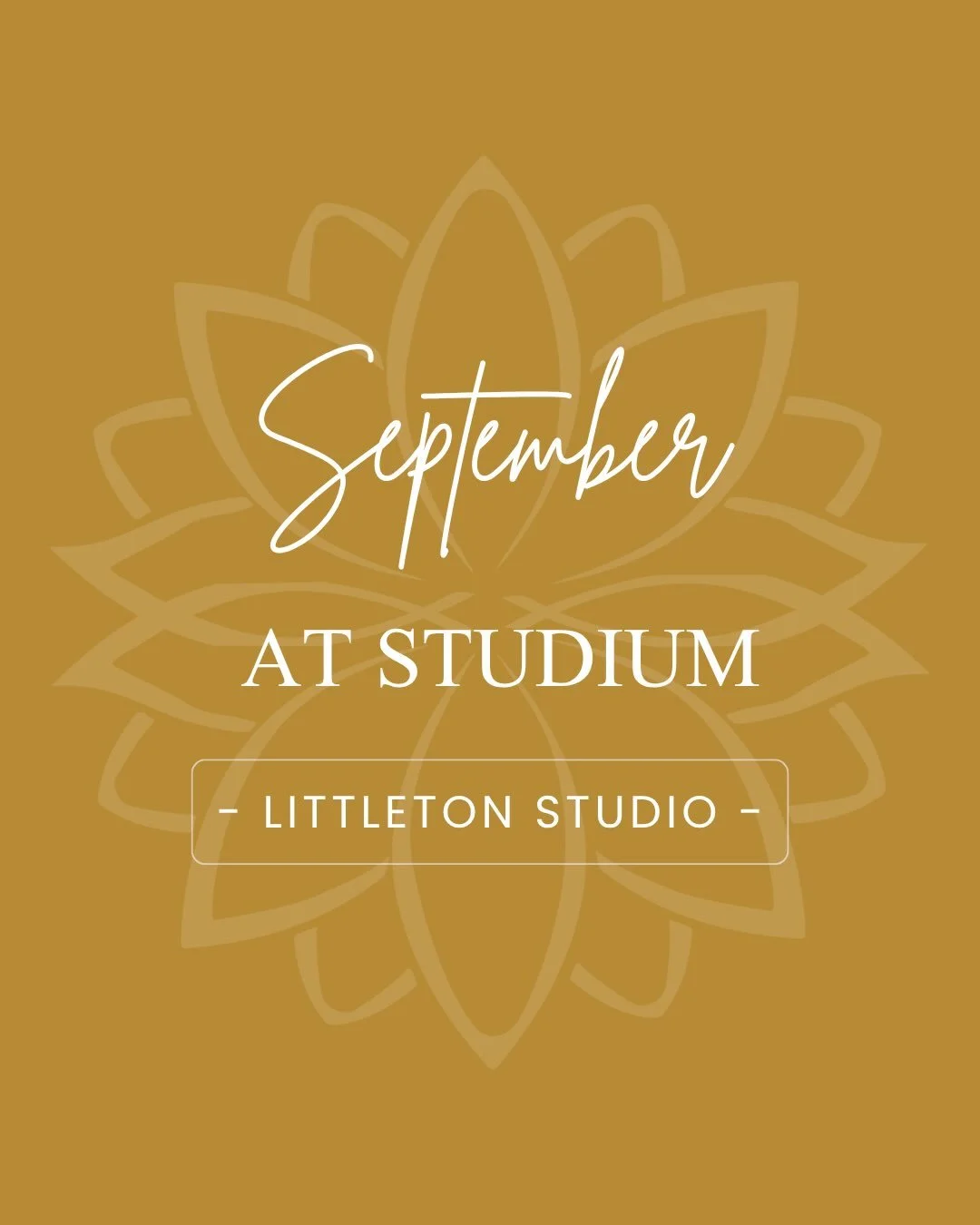 September brings turning leaves, the peak of harvest, ELEVEN (!!!) new classes* at the Littleton Studio, and a Back to School Special on our Monthly Unlimited Membership!

We look forward to moving with you this month. 💕

Please note that we will be