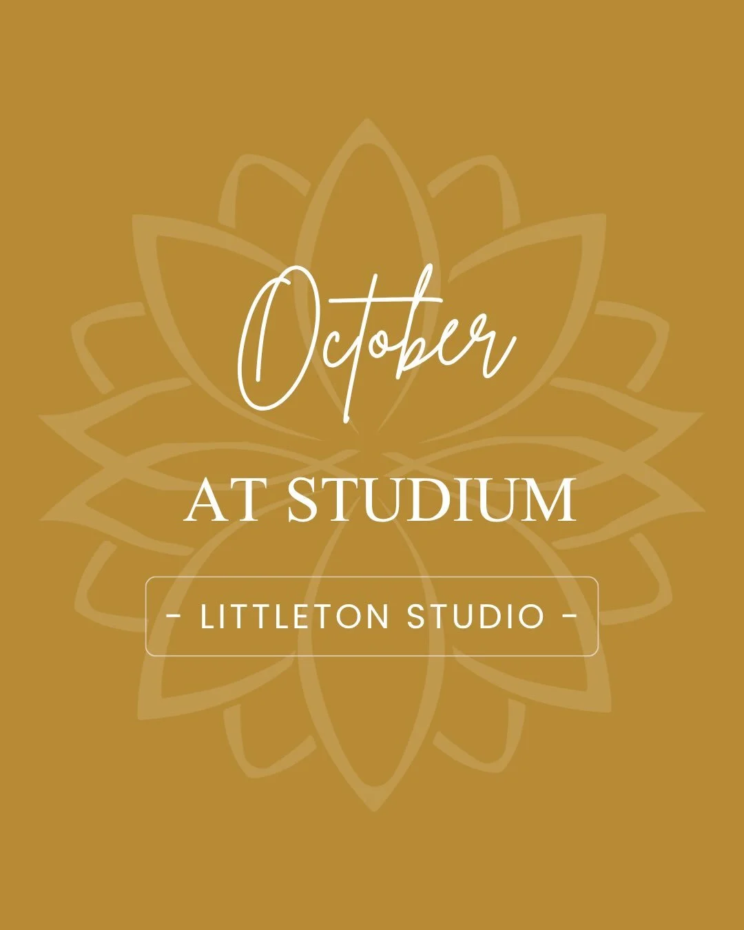 We&rsquo;re celebrating this month at the Littleton Studio!

Halloween classes 🎃 with @missmegabug, @yogawithchelsey_, and @olivia_gadwah, plus our third anniversary at Rail Trail Village! 🎉

Join us on Saturday, October 10th for our official anniv
