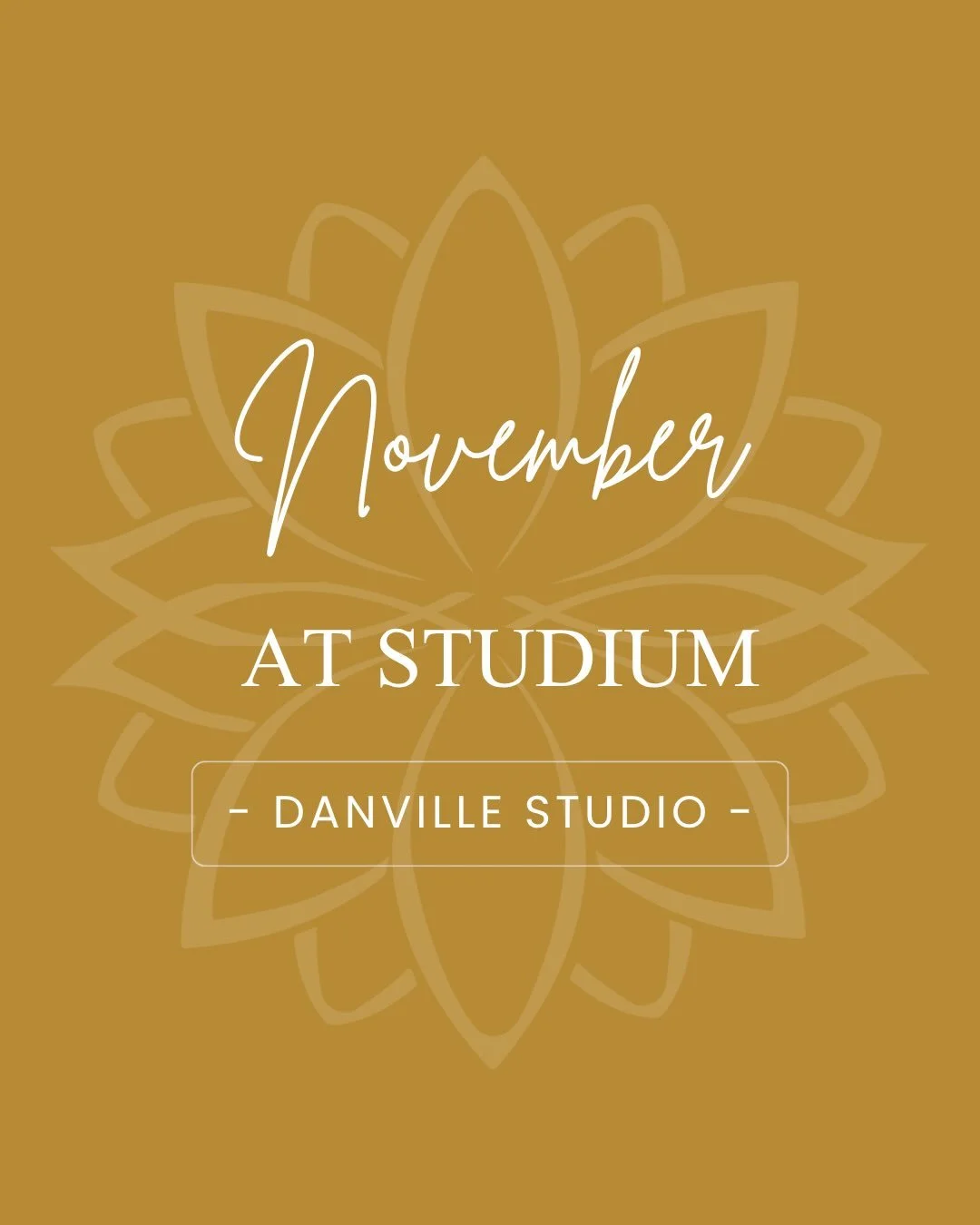 As we shift into November, we&rsquo;re feeling especially grateful for our Studium community. 💕

To say thanks and help you stay consistent in the New Year, we&rsquo;re offering $100 off our Yearly Unlimited Membership, now through December 25th! Ju