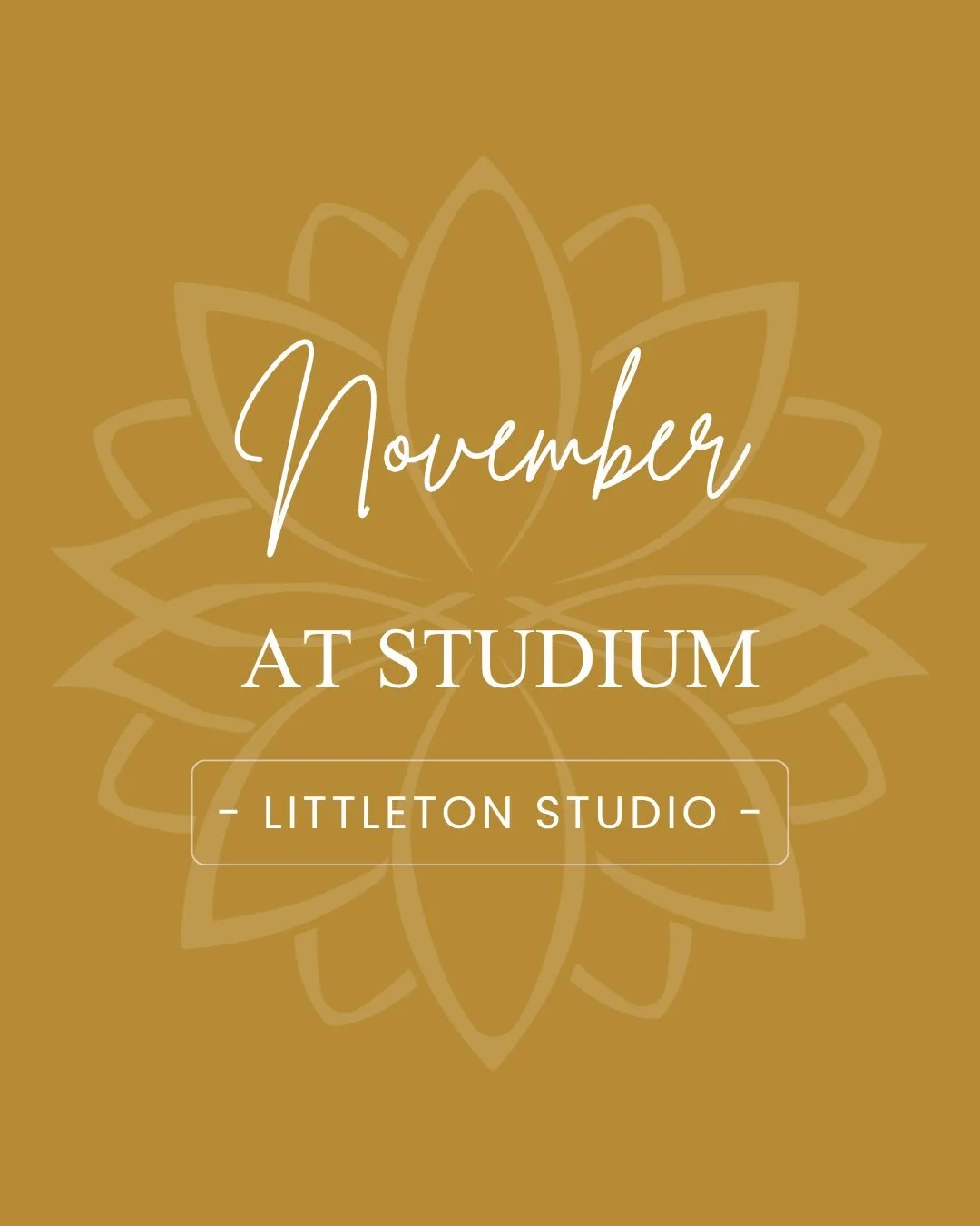 As we shift into November, we&rsquo;re feeling especially grateful for our Studium community. 💕

To say thanks and help you stay consistent in the New Year, we&rsquo;re offering $100 off our Yearly Unlimited Membership, now through December 25th! Ju