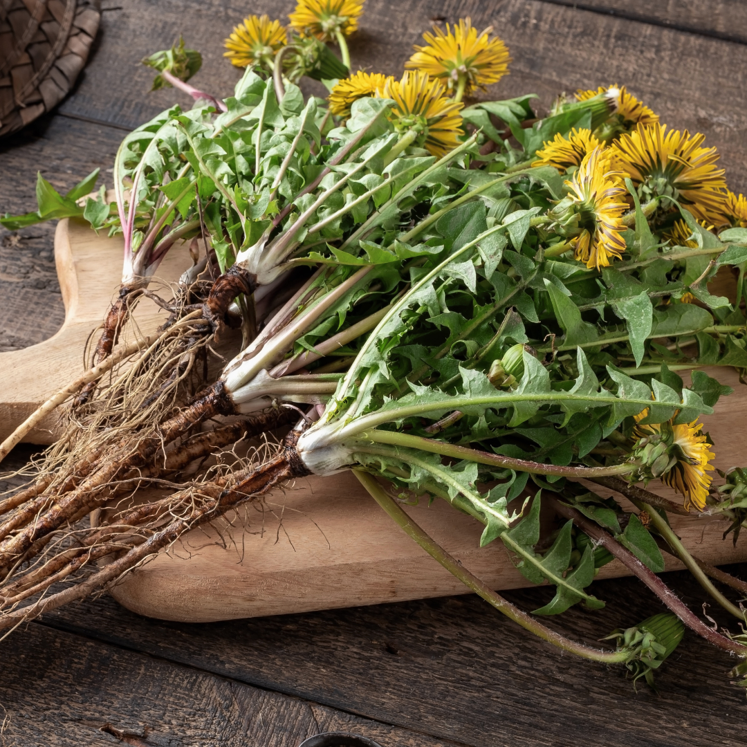 Signs of Low Stomach Acid | The Hidden Energy Drain No One Talks About