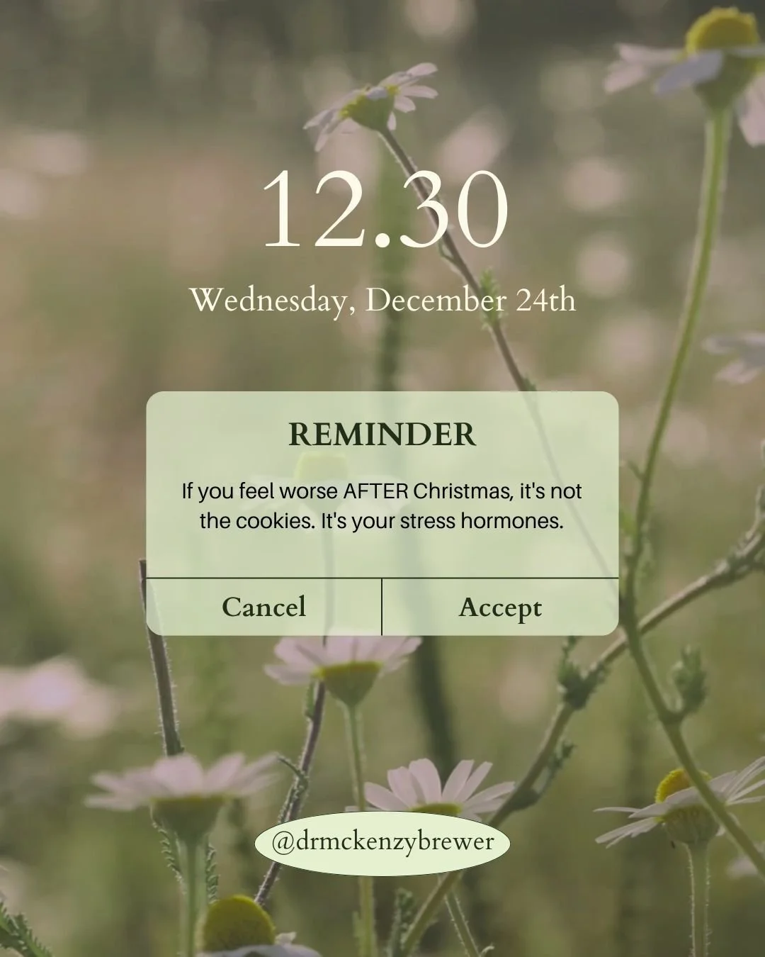 Your body has been running on stress hormones for weeks. Maybe months. Maybe years.
You've been cooking. Hosting. Fixing things. Making everyone happy. Holding it all together.
Then Christmas ends. You finally sit down.
And suddenly you feel WORSE.
M