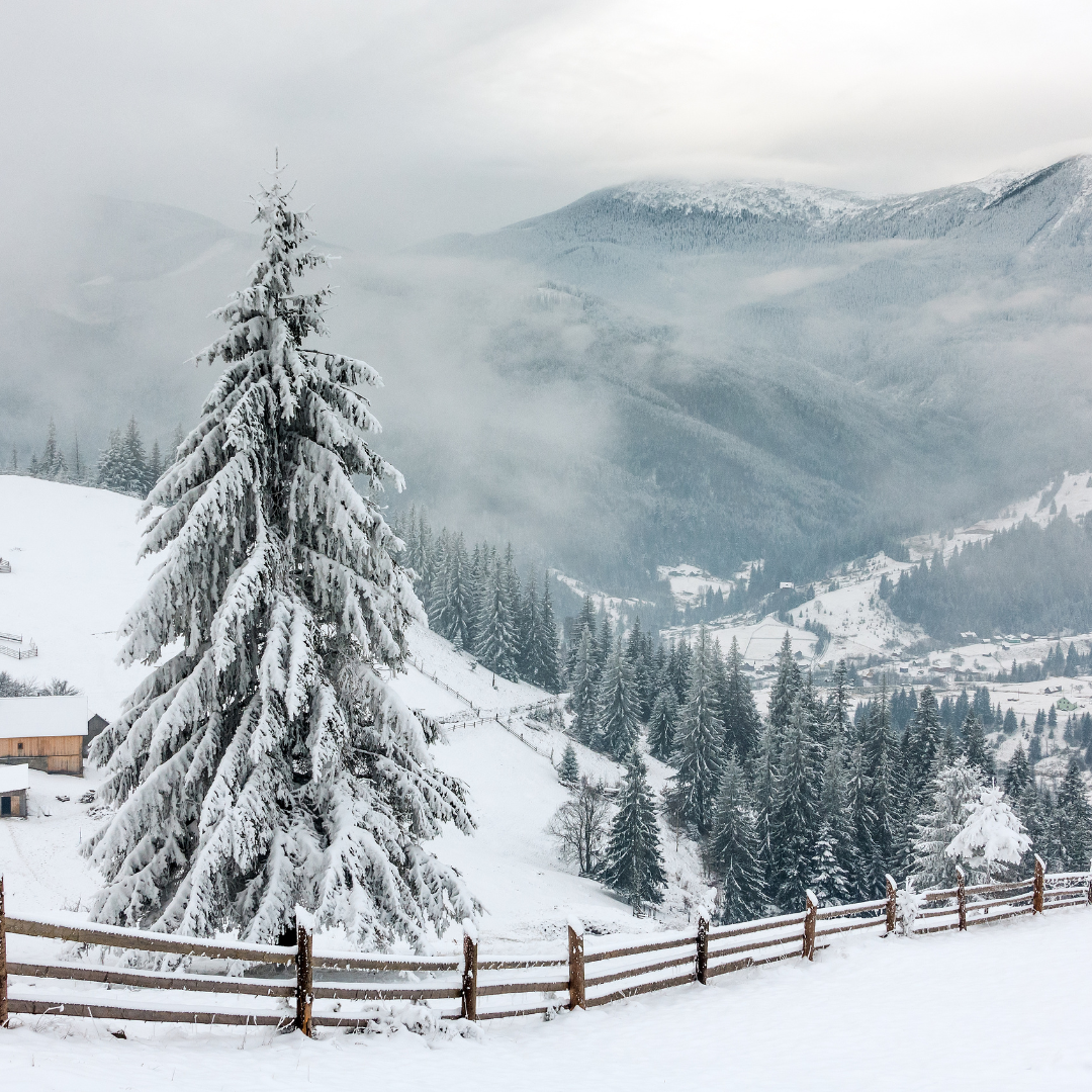 Why January Is the Hardest Month for Your Nervous System (And How to Survive It)