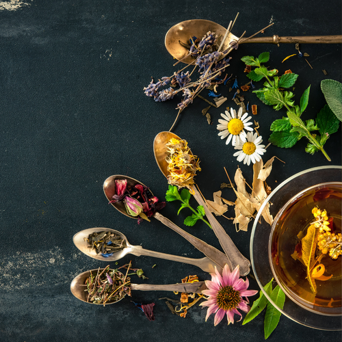 5 Best Herbal Teas for Gut Health — Dr. McKenzy Brewer, DC