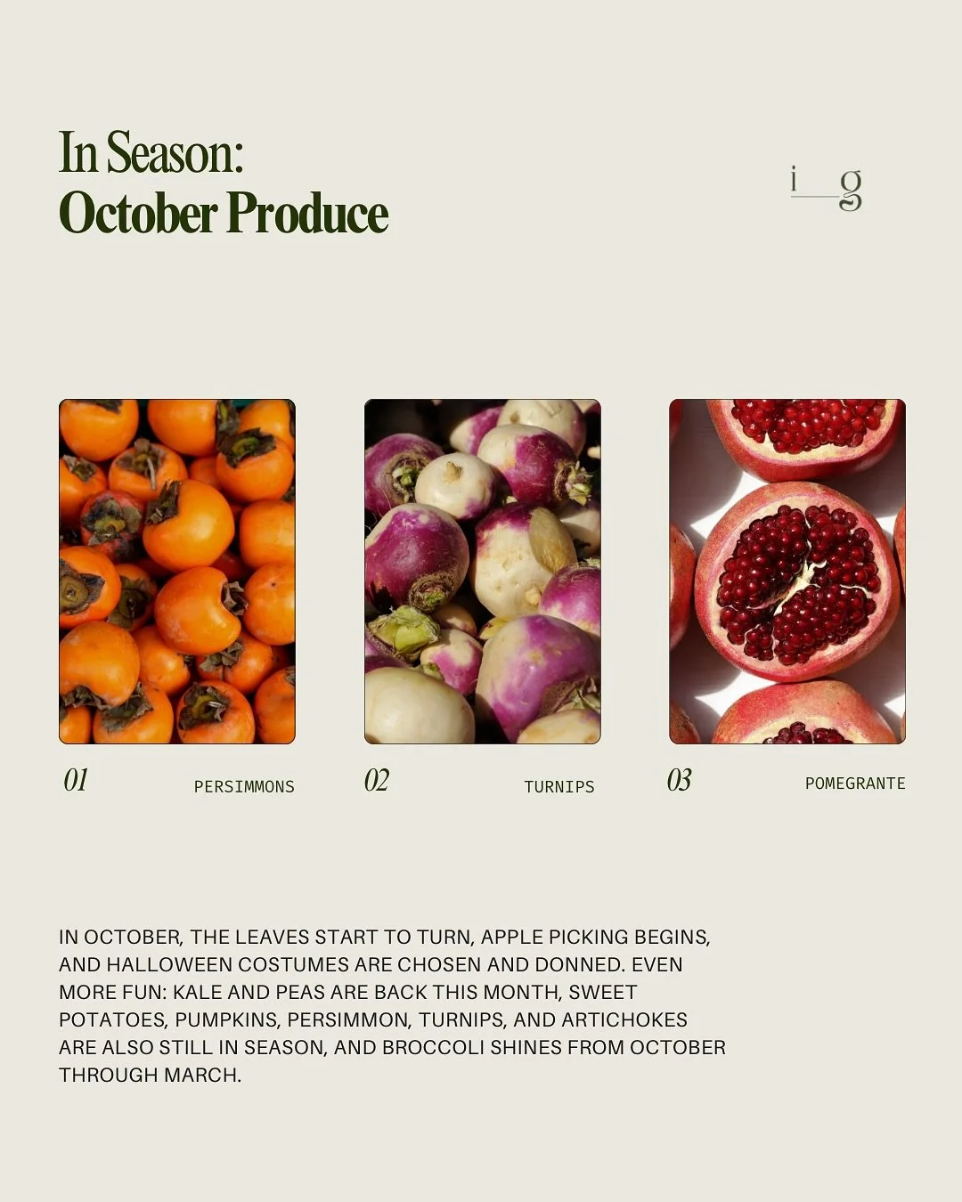 OCTOBER PRODUCE GUIDE
__
In October, the leaves start to turn, apple picking begins, and Halloween costumes are chosen and donned. Even more fun: Kale and peas are back this month, sweet potatoes, pumpkins, carrots, spinach, and artichokes are also s