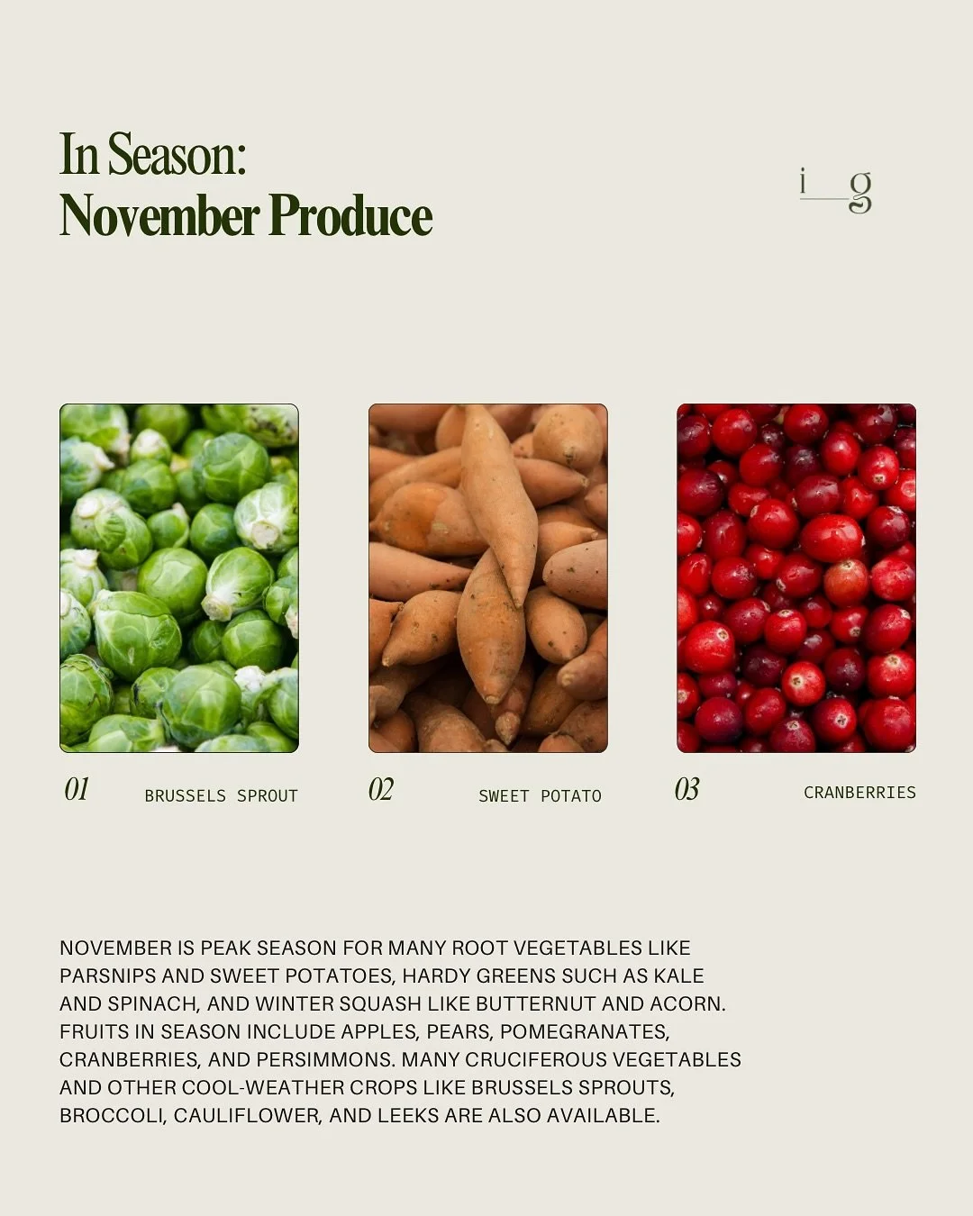 NOVEMBER PRODUCE GUIDE
__
November is peak season for many root vegetables like parsnips and sweet potatoes, hardy greens such as kale and spinach, and winter squash like butternut and acorn. Fruits in season include apples, pears, pomegranates, cran