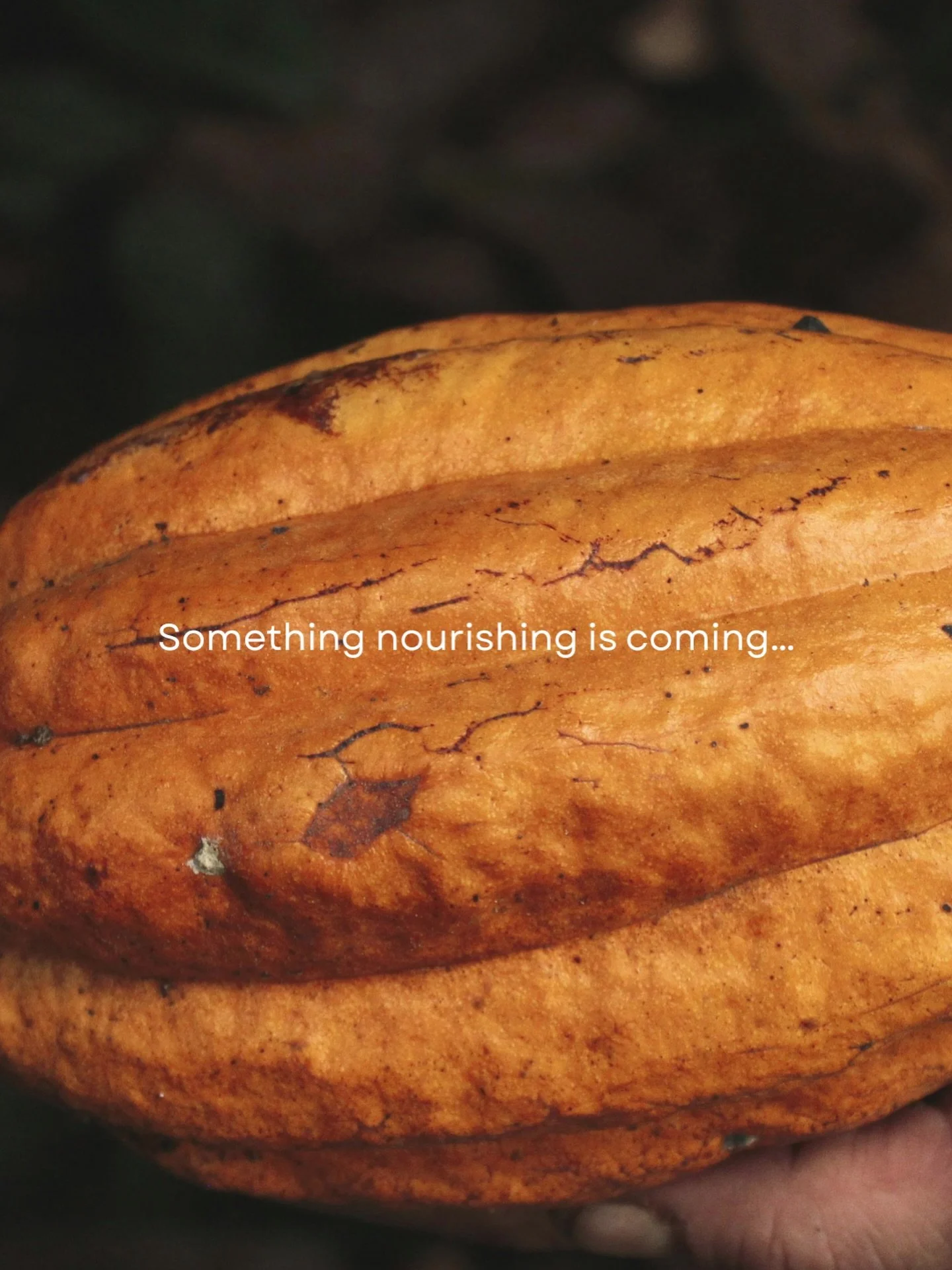 Something Nourishing Is Coming &mdash; For the WHOLE You
&hellip;
COMMENT BELOW what you think our next launch is! #nomagicjustritual