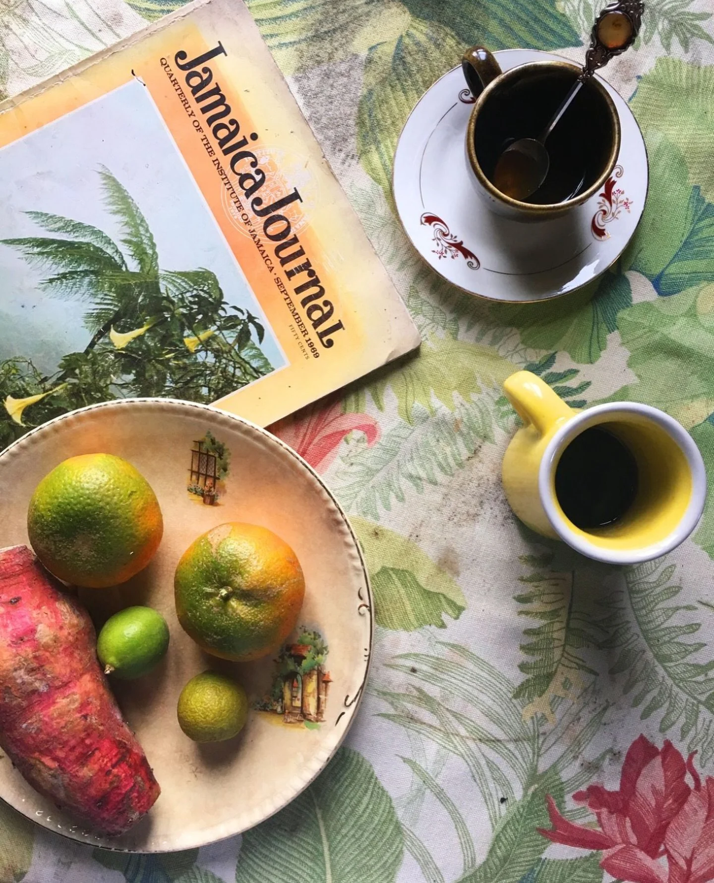 Daily rituals are habits with meaning. They keep us grounded + rooted! Soon, I&rsquo;ll be sharing mine. Inspired by the herbs and healing traditions of Jamaica where my lineage lies. A blend of minerals, roots + deep nourishment&hellip;

But for now