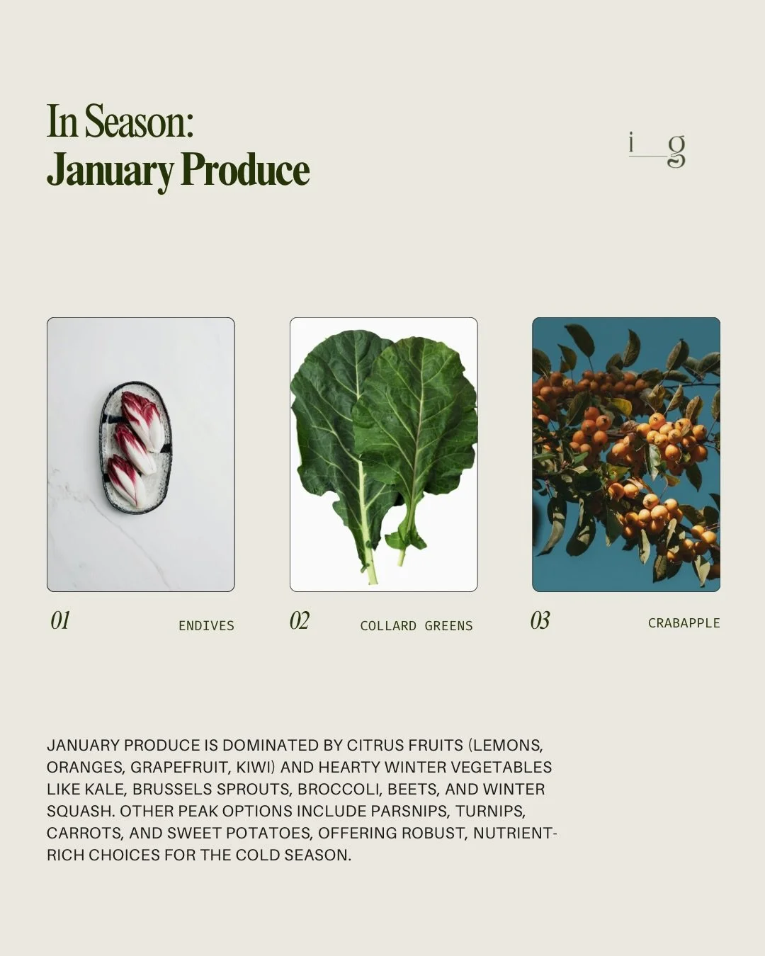 JANUARY PRODUCE GUIDE
__
January produce is dominated by citrus fruits (lemons, oranges, grapefruit, kiwi) and hearty winter vegetables like kale, Brussels sprouts, broccoli, beets, and winter squash. Other peak options include parsnips, turnips, car
