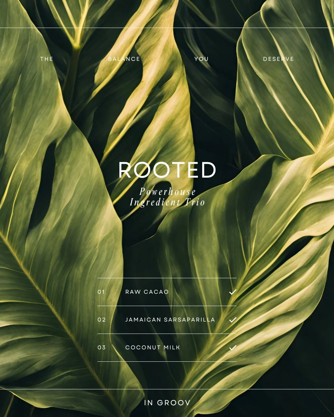 Drink what your ancestors would recognize!
__
ROOTED is made up of 3 powerful ingredients:
Raw cacao to open the heart and wake the gut.
Jamaican sarsaparilla to cleanse, mineralize, and move things through.Coconut milk to soothe, nourish, and bring 