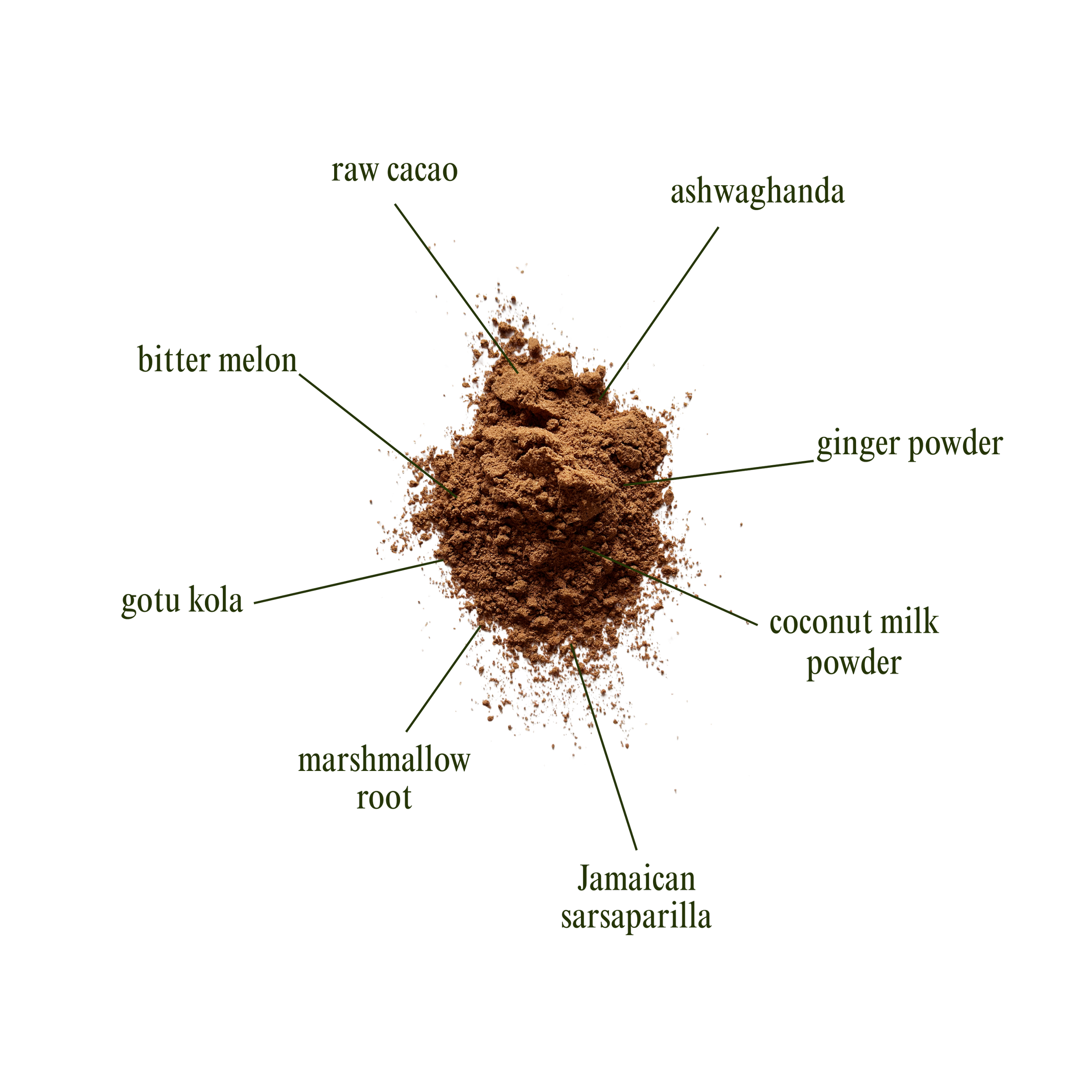 ROOTED INGREDIENTS.png