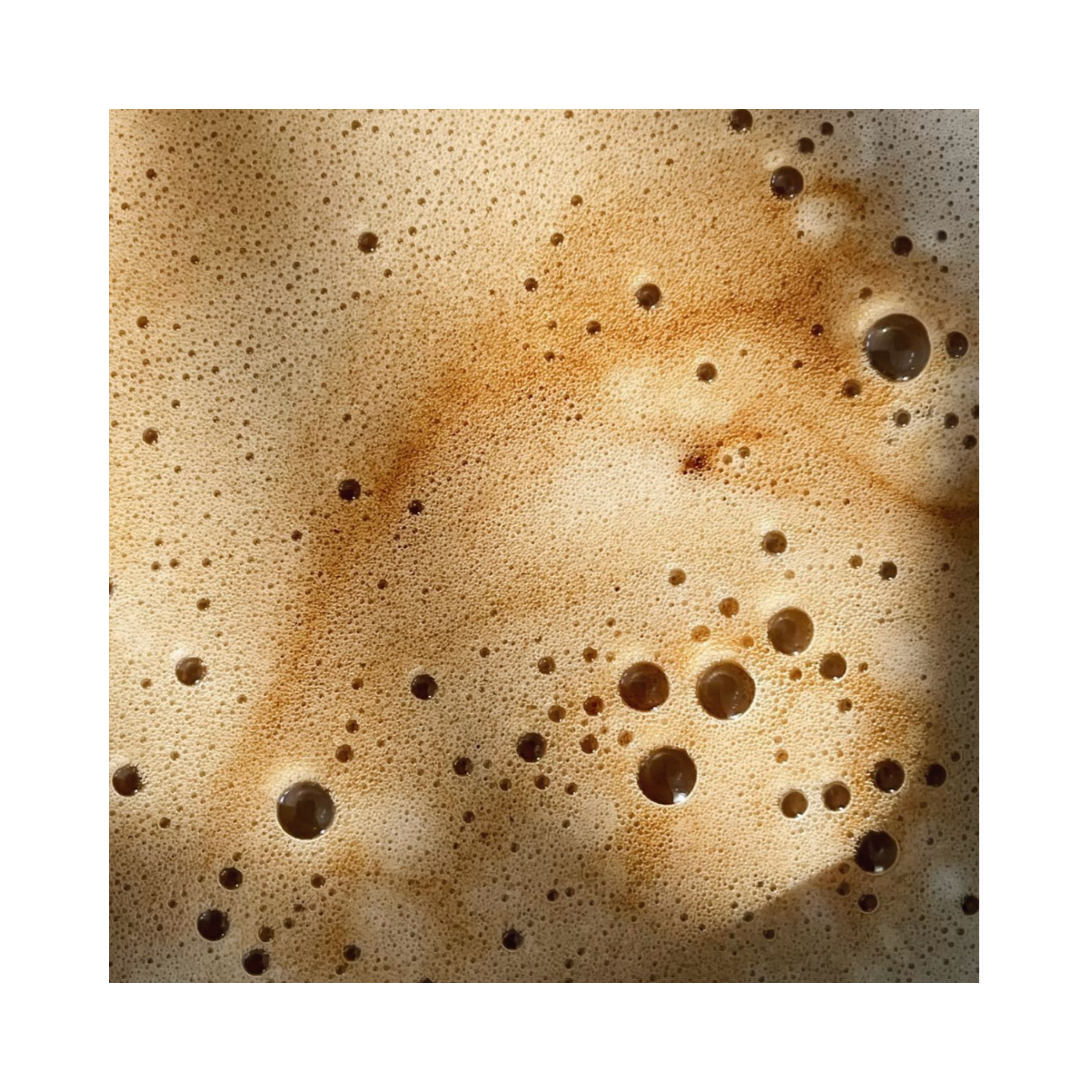 ROOTED INGREDIENTS.png