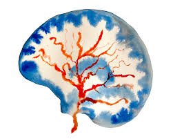 Understanding Acute Grief and Trauma Part 2: Why Grief Can Feel Overwhelming, Unreal, or Numbing