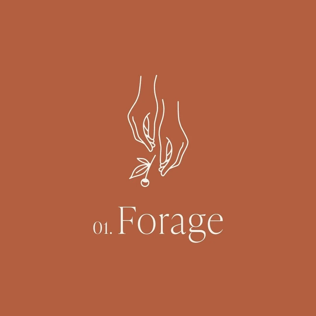 So often, aspiring founders keep their ideas to themselves or share them with the wrong audience, leaving them feeling stuck before they even begin. 
Our Forage package is a safe space to get clear on your path and freely ask questions about launchi