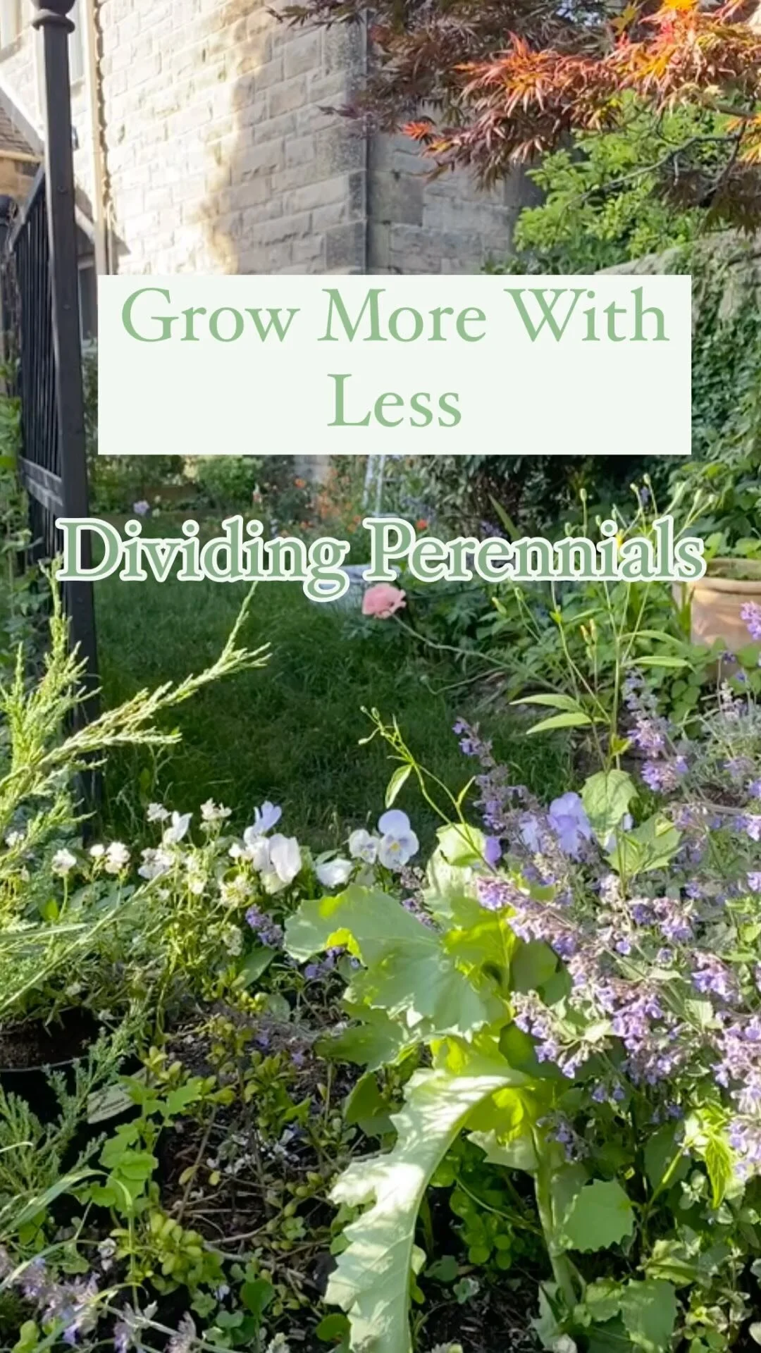 Joy In The March Garden Joyful Garden Image Asset