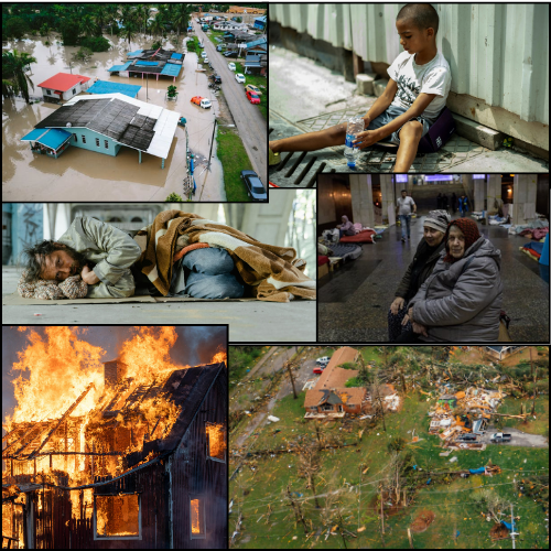 World Photo Day.png