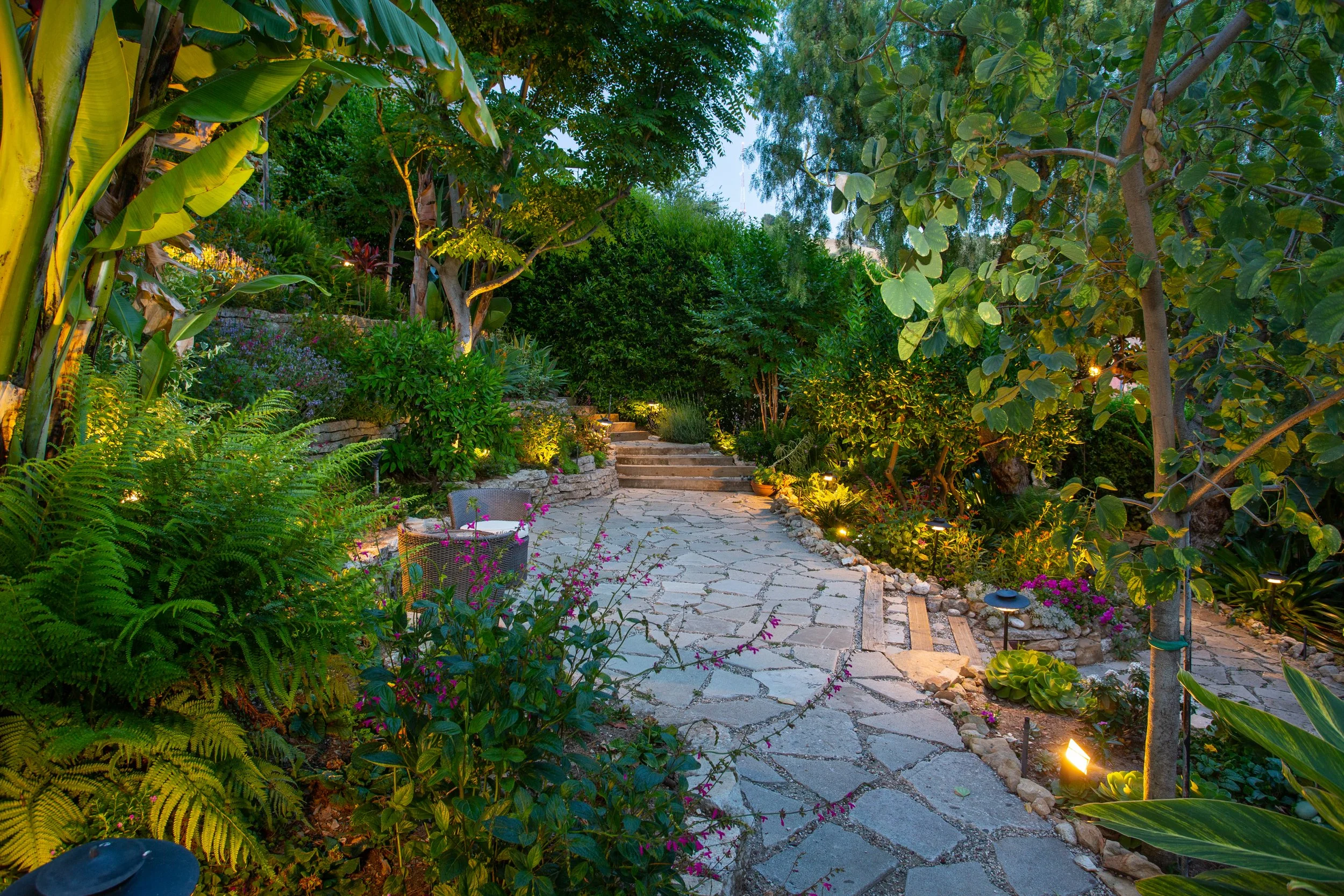 garden dusk 1 full.jpg