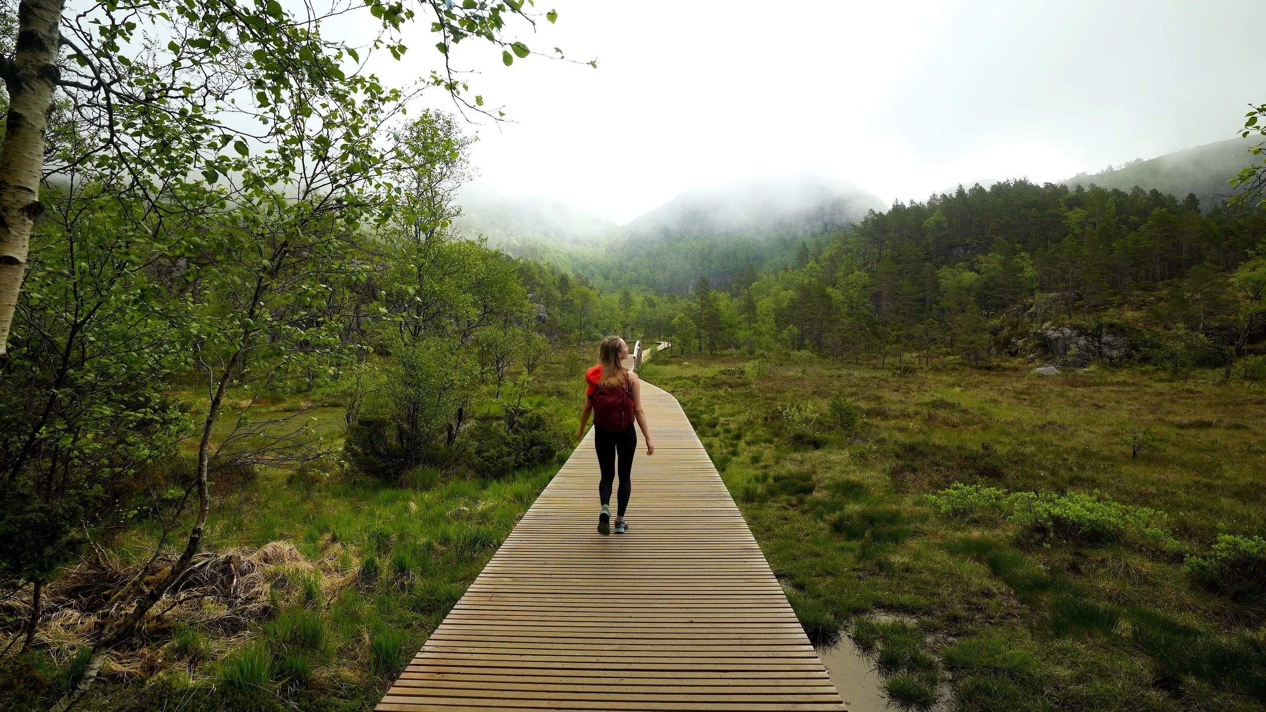 Sequence 01.00_05_11_21.Still014.jpg