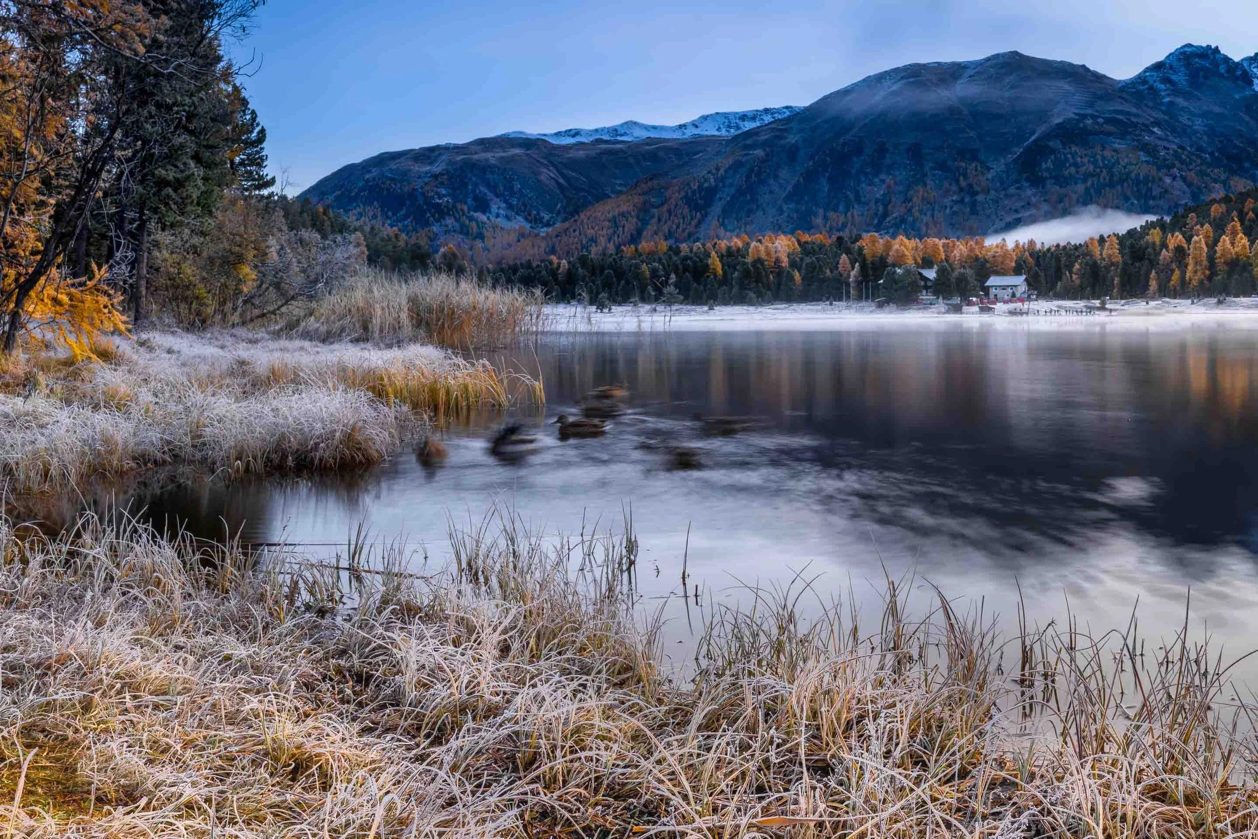Langzeitaufnahme am Stazersee mit frostigem Ufer, schwimmenden Enten und ziehenden Wolken über dem Wasser.