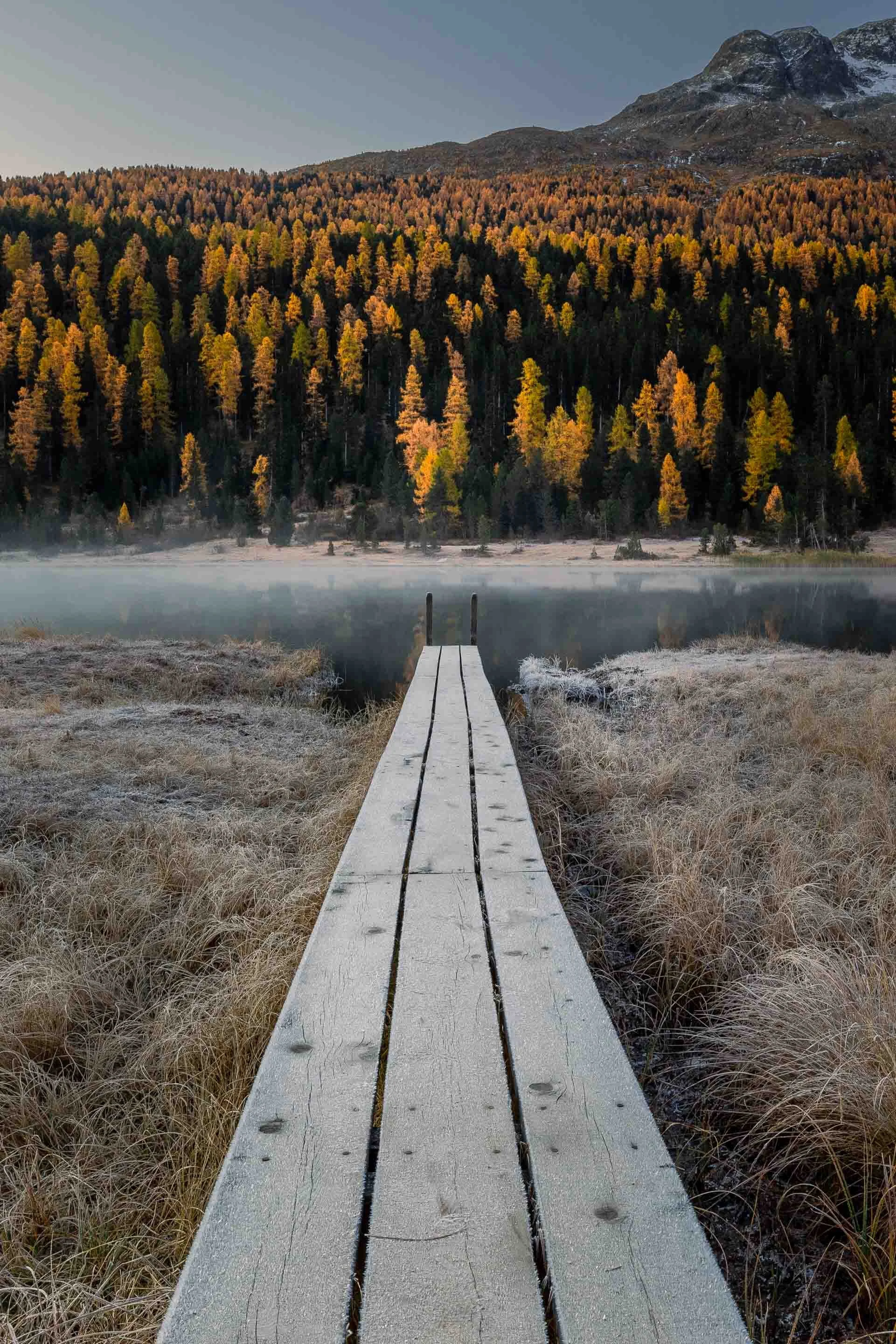 Holzsteg am Stazersee im Engadin an einem frostigen Herbstmorgen mit goldenen Lärchen und Nebel über dem Wasser.