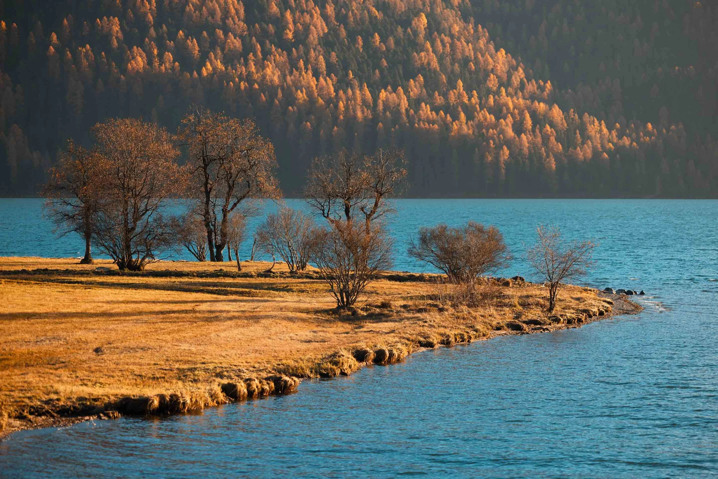 Silvaplana_Hochzeitslocation_Delnon_Photo.jpg