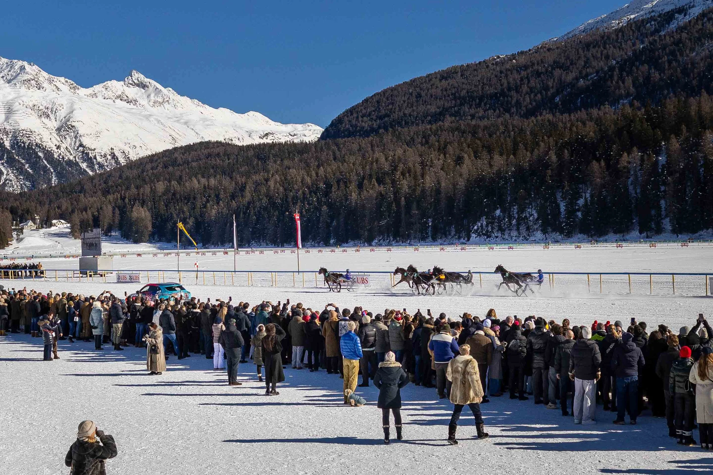Pferderennen mit fibernden Menschenmengen am White Turf