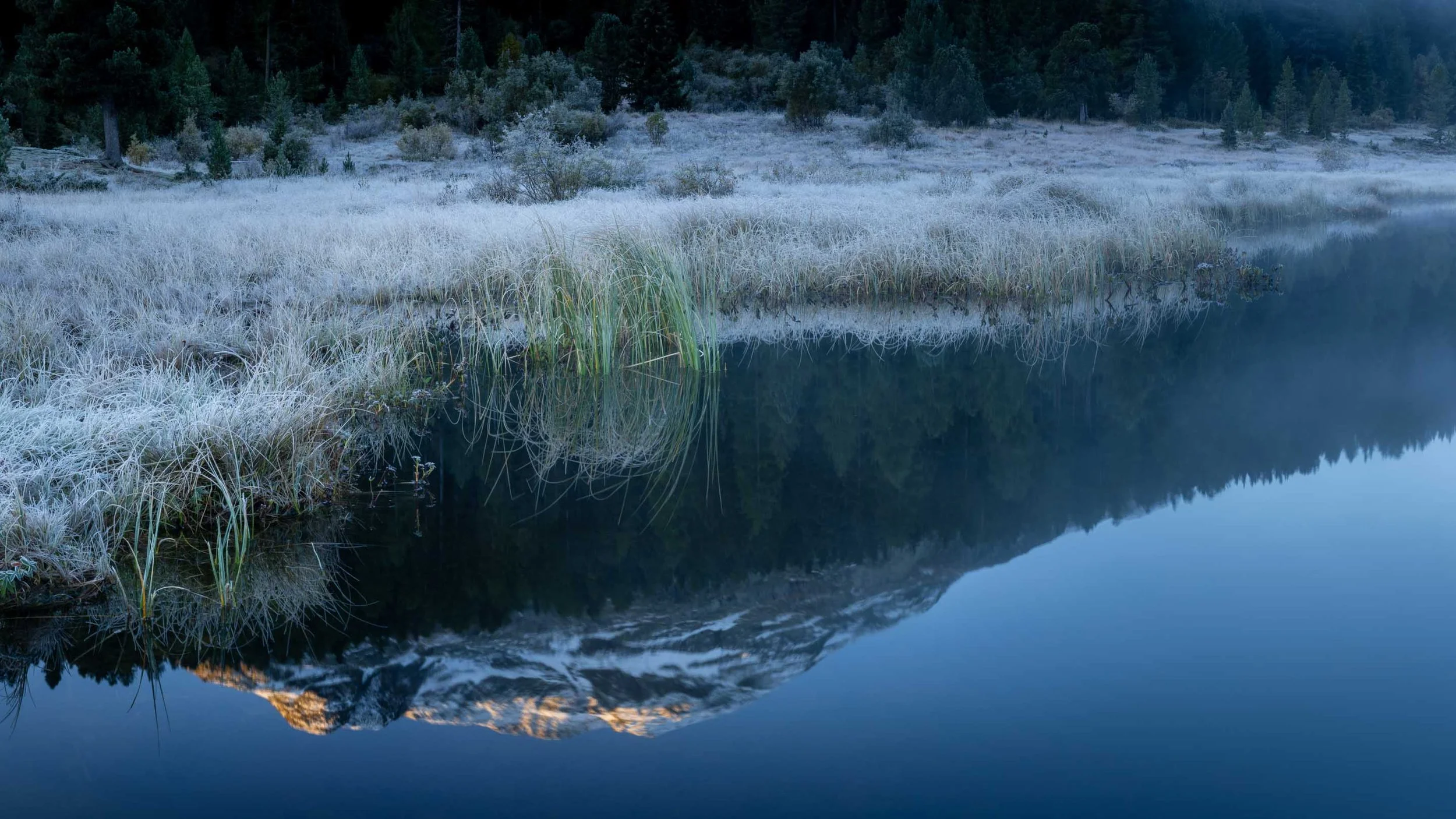 Frostbedecktes Schilf am Ufer des Stazersees mit Spiegelung der Berge im ruhigen Wasser.