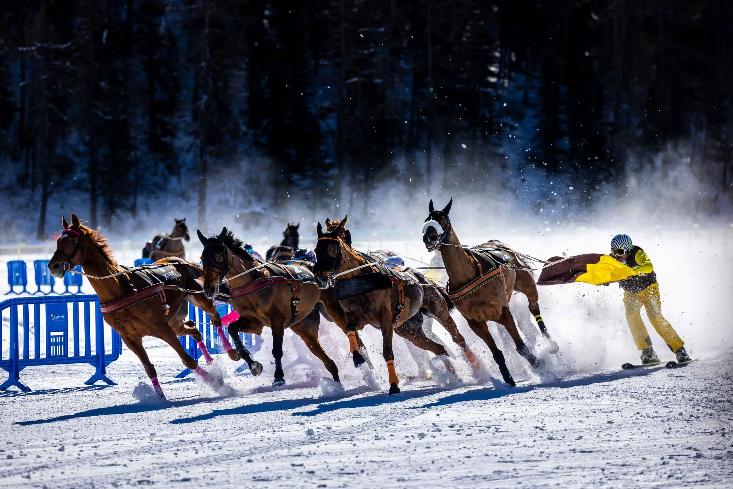Pferderennen_White-Turf_Actionbild_5MI2149.jpg