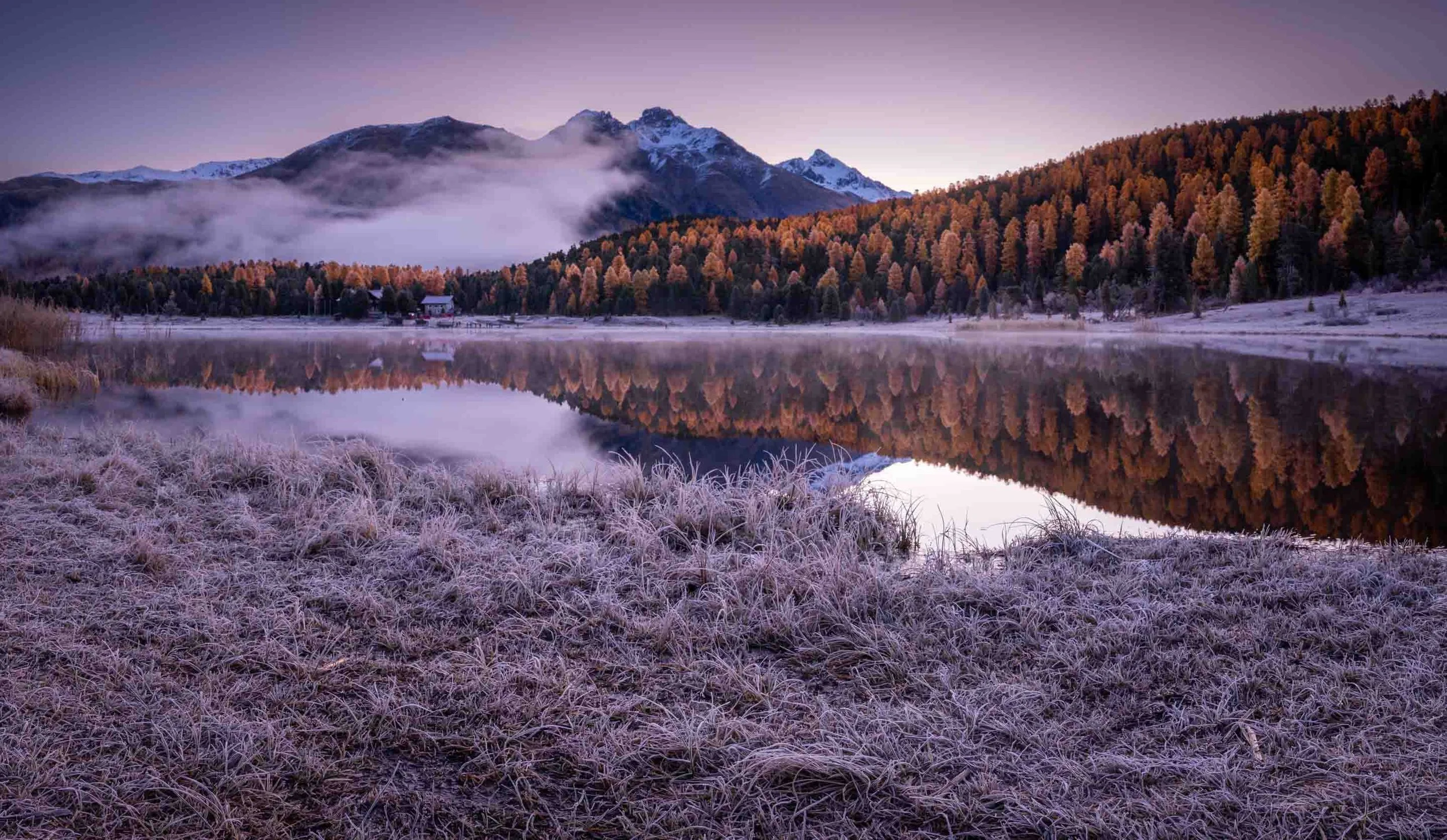 Stazersee im Herbstkleid mit goldenen Lärchen, Raureif und perfekter Spiegelung im Wasser.
