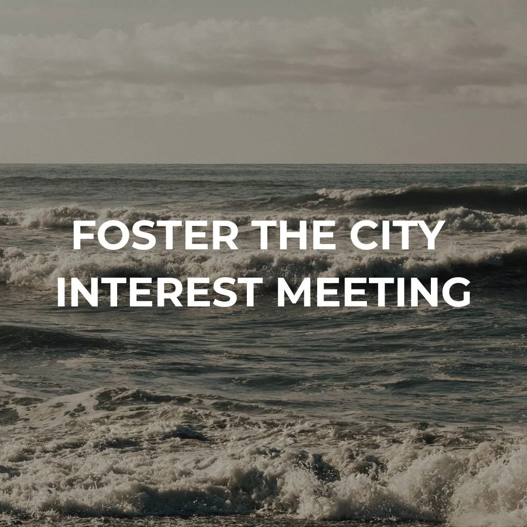 Foster the City Interest Meeting