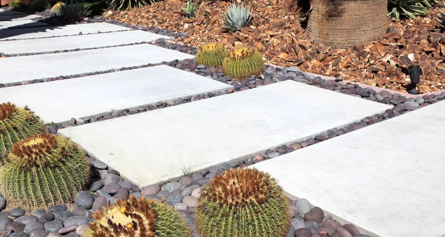 Sustainable Landscaping: Creating a Low-Maintenance, Eco-Friendly Yard ...