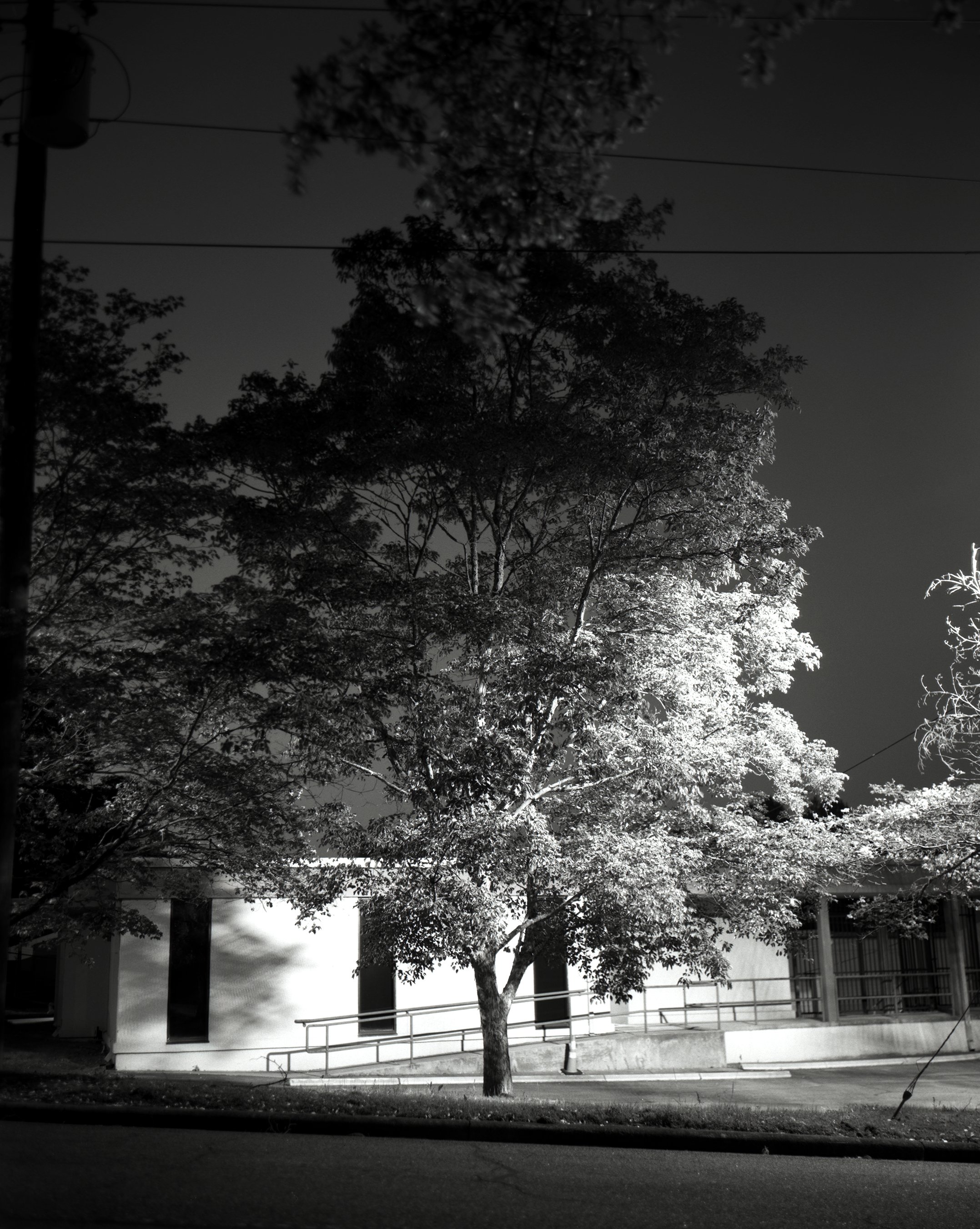 Boulevard Ave,
Athens, Georgia
2025