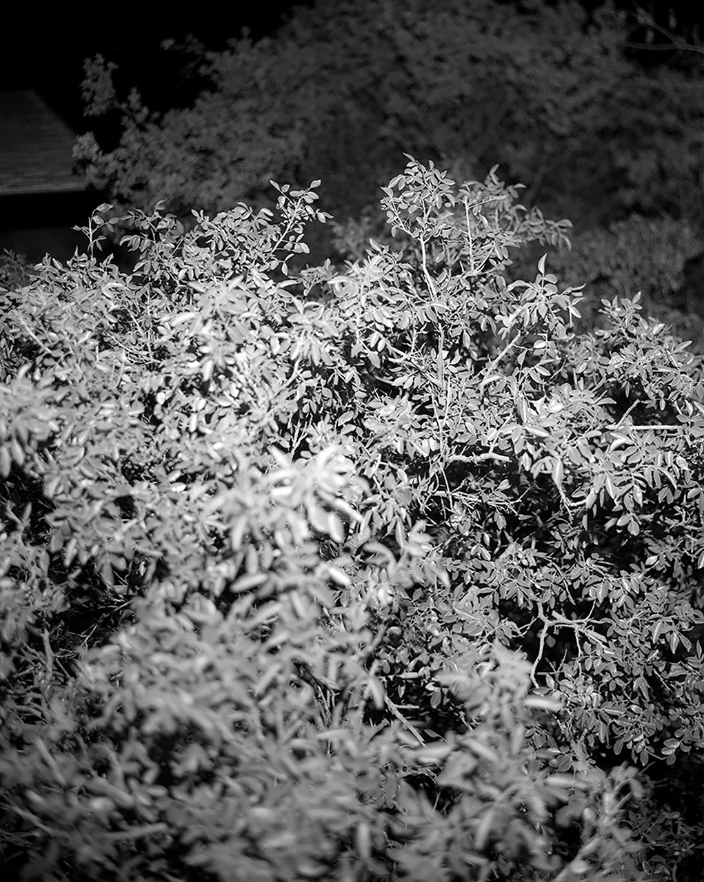 Brewster County, TX
2025