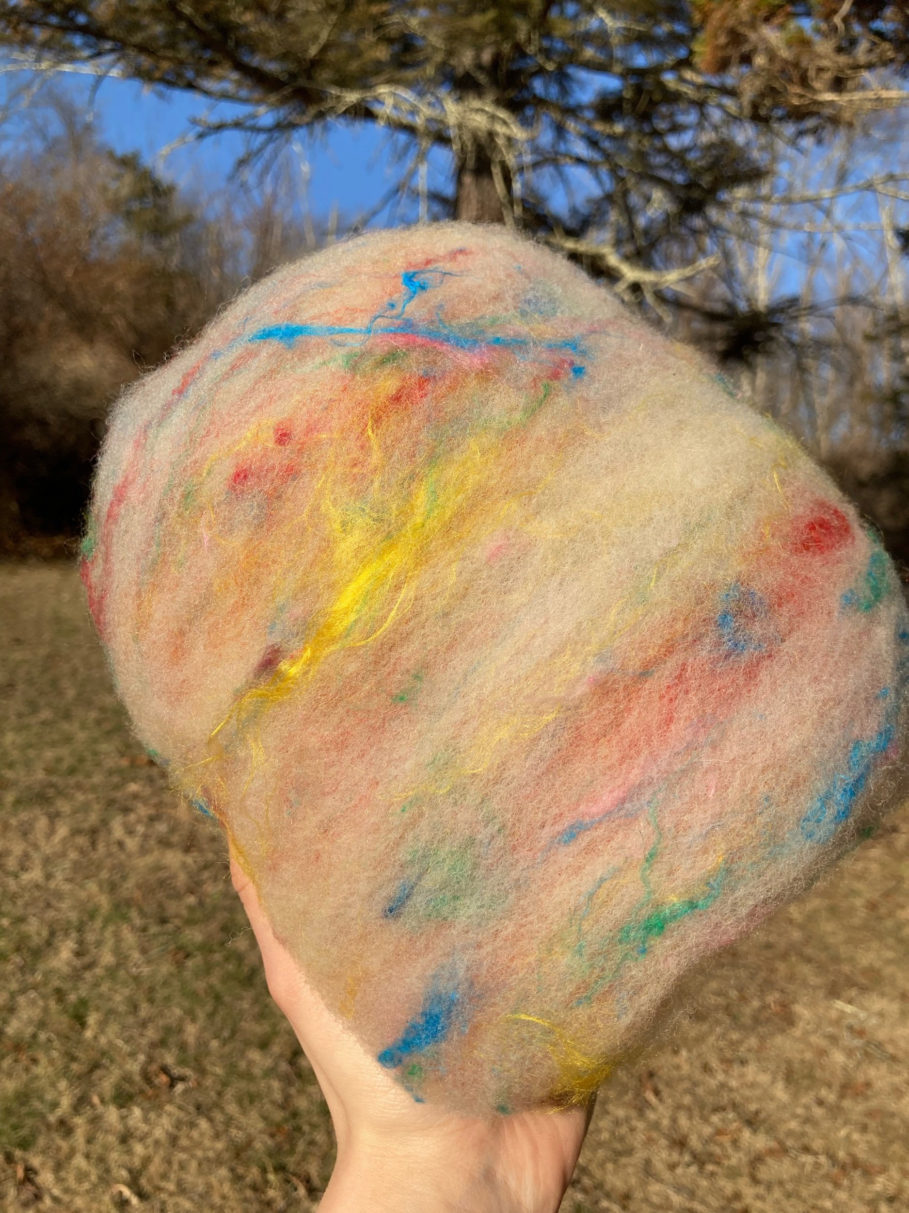 F94303D4-C31C-4DE4-AD25-DFCF064743EC.jpeg