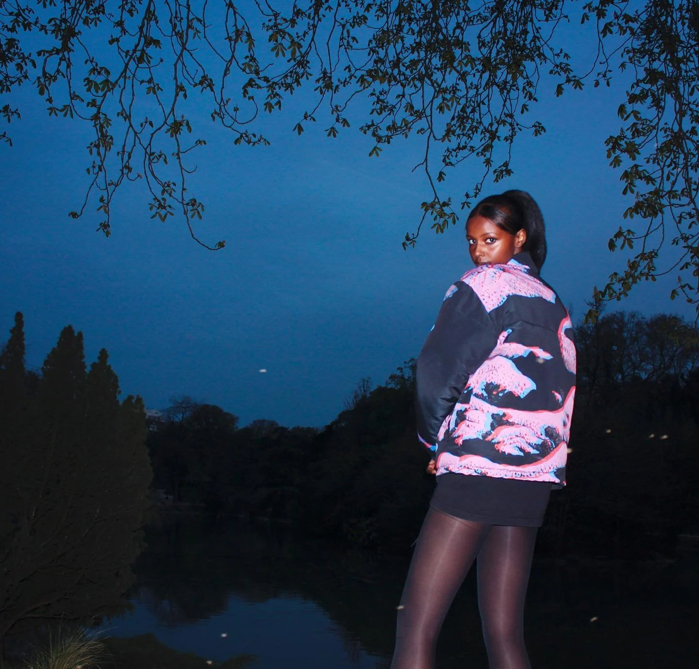 Une jeune femme debout près d'un plan d'eau au crépuscule, portant un sweat-shirt à motif de caméléons et des collants noirs, sous un ciel bleu foncé avec des branches d'arbre au-dessus.
