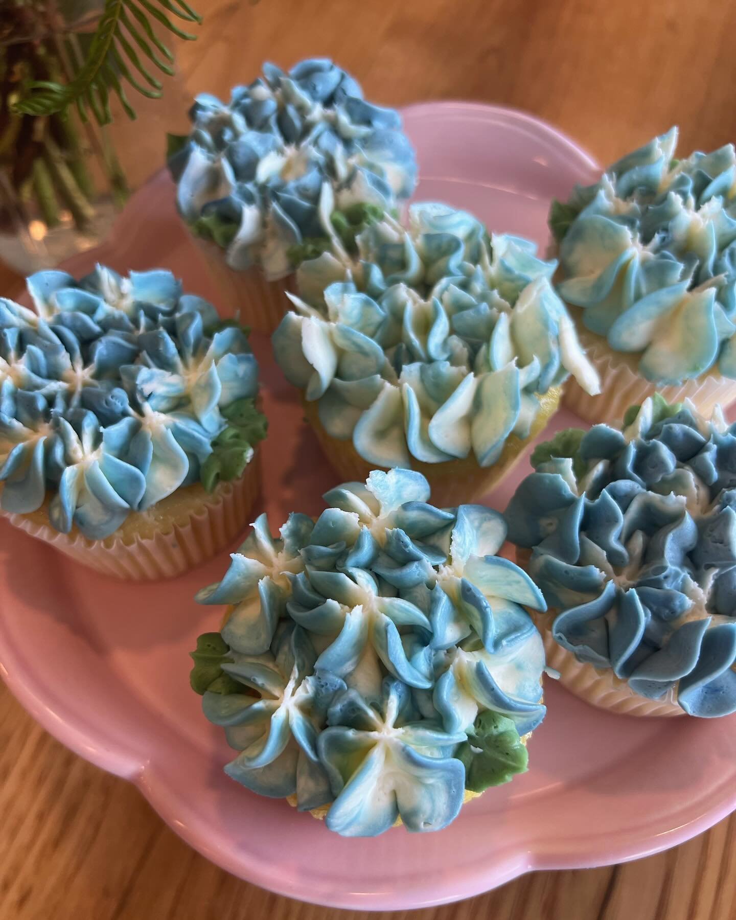 🌺 Hydrangea cupcakes 🌺
.
.
#cupcakes #cakedecorating #hanoverma #bostonfood #southshorema #cupcakedecorating
