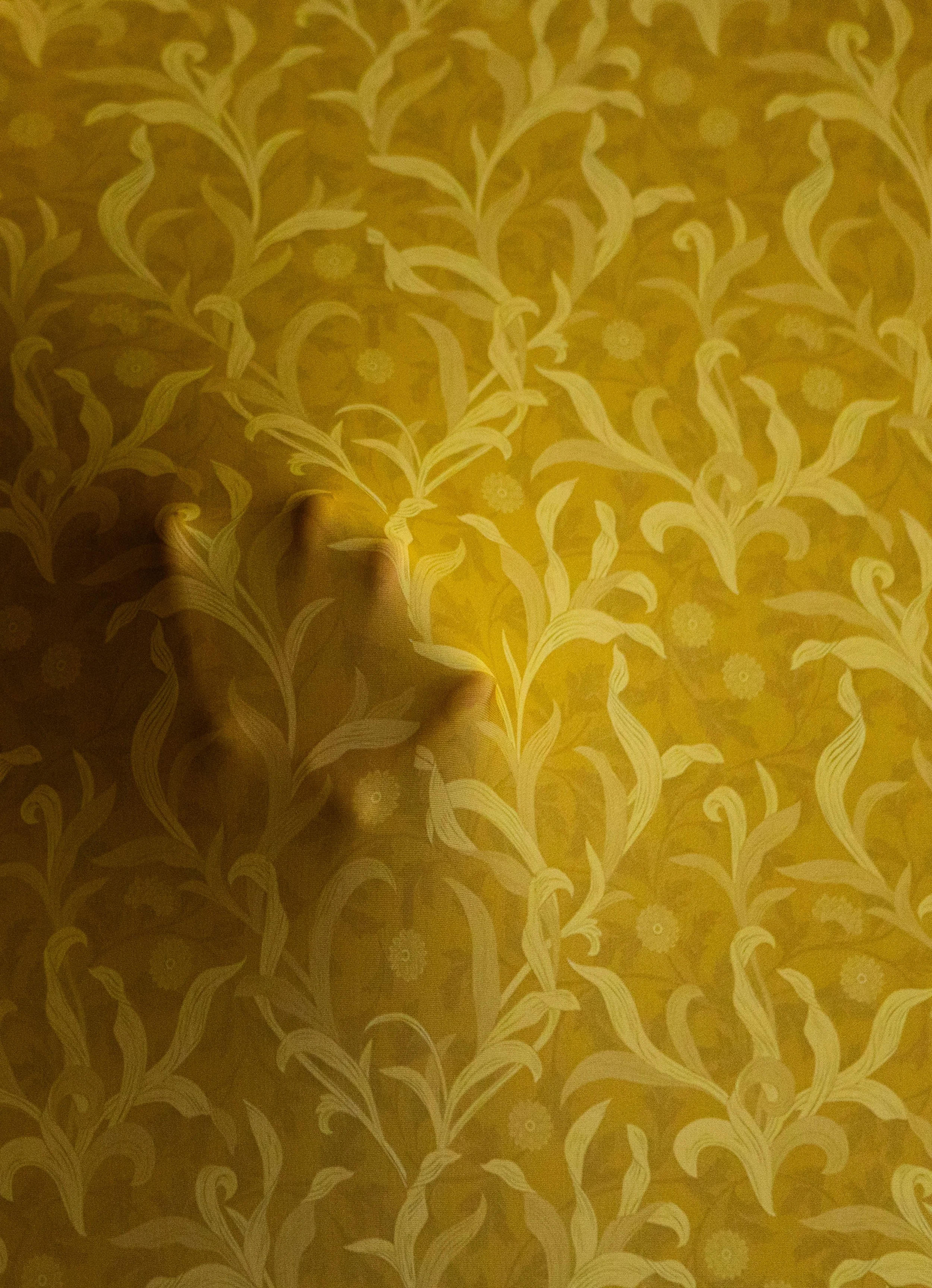8Z4A8226.jpg