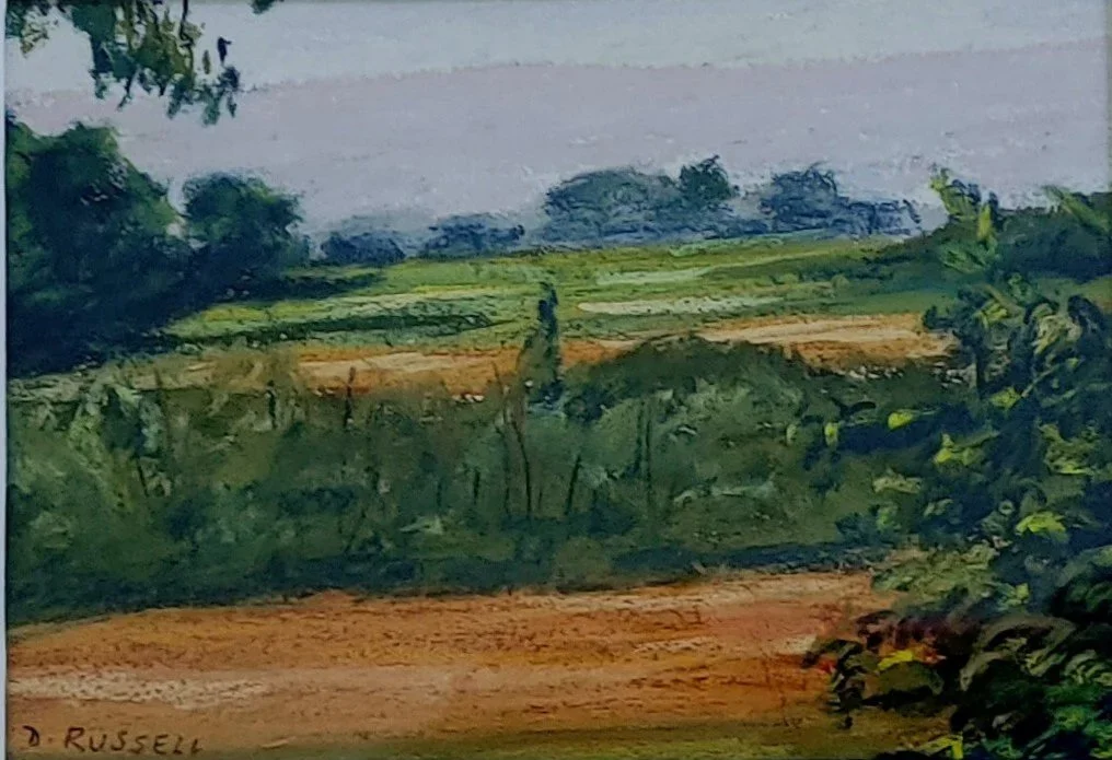 a country garden scene painted by donna russell author of a children's picture book titled Modupay Barbara Patricia LaRue
