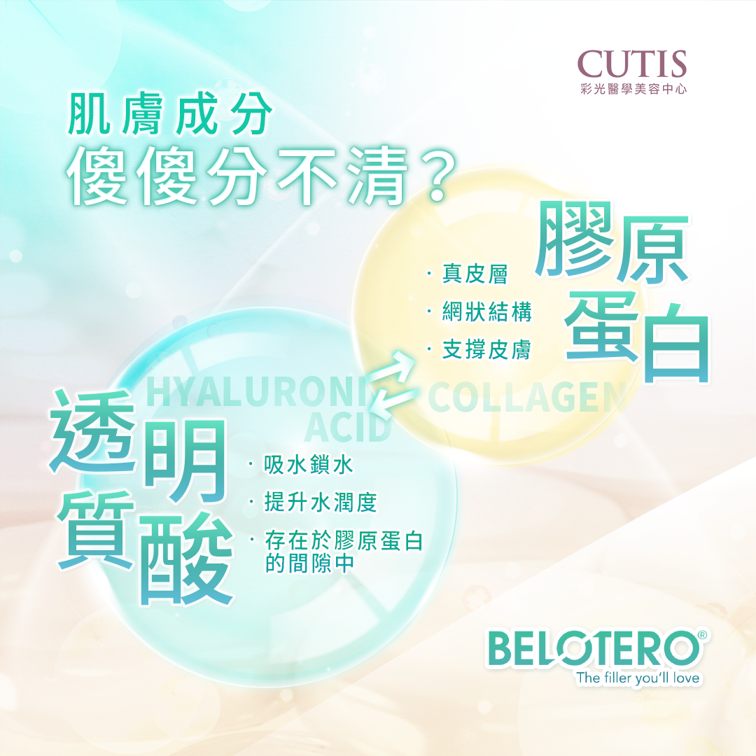 Cutis_Design_03.png