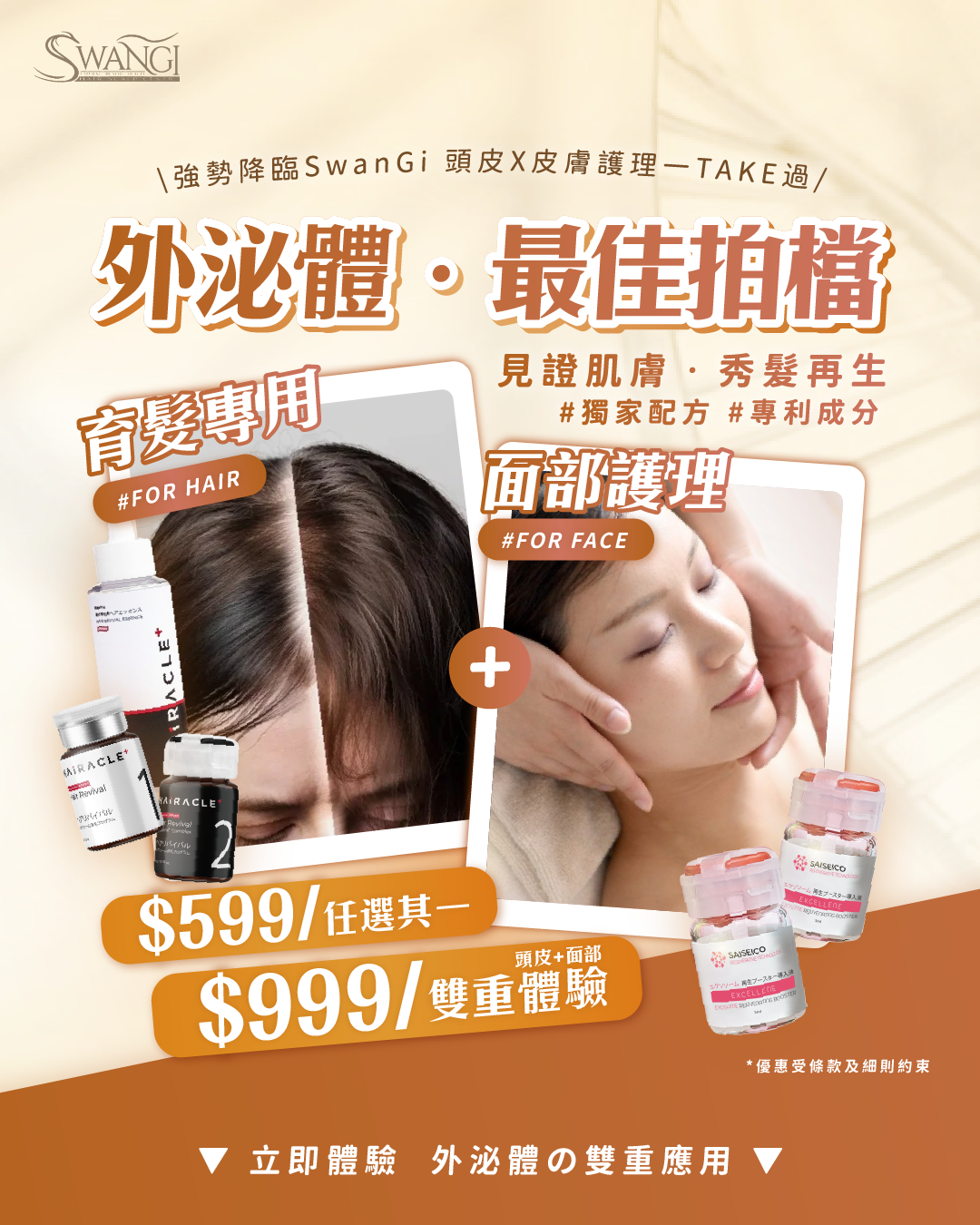 SwanGi_Jan2025_工作區域 1 複本 4.png