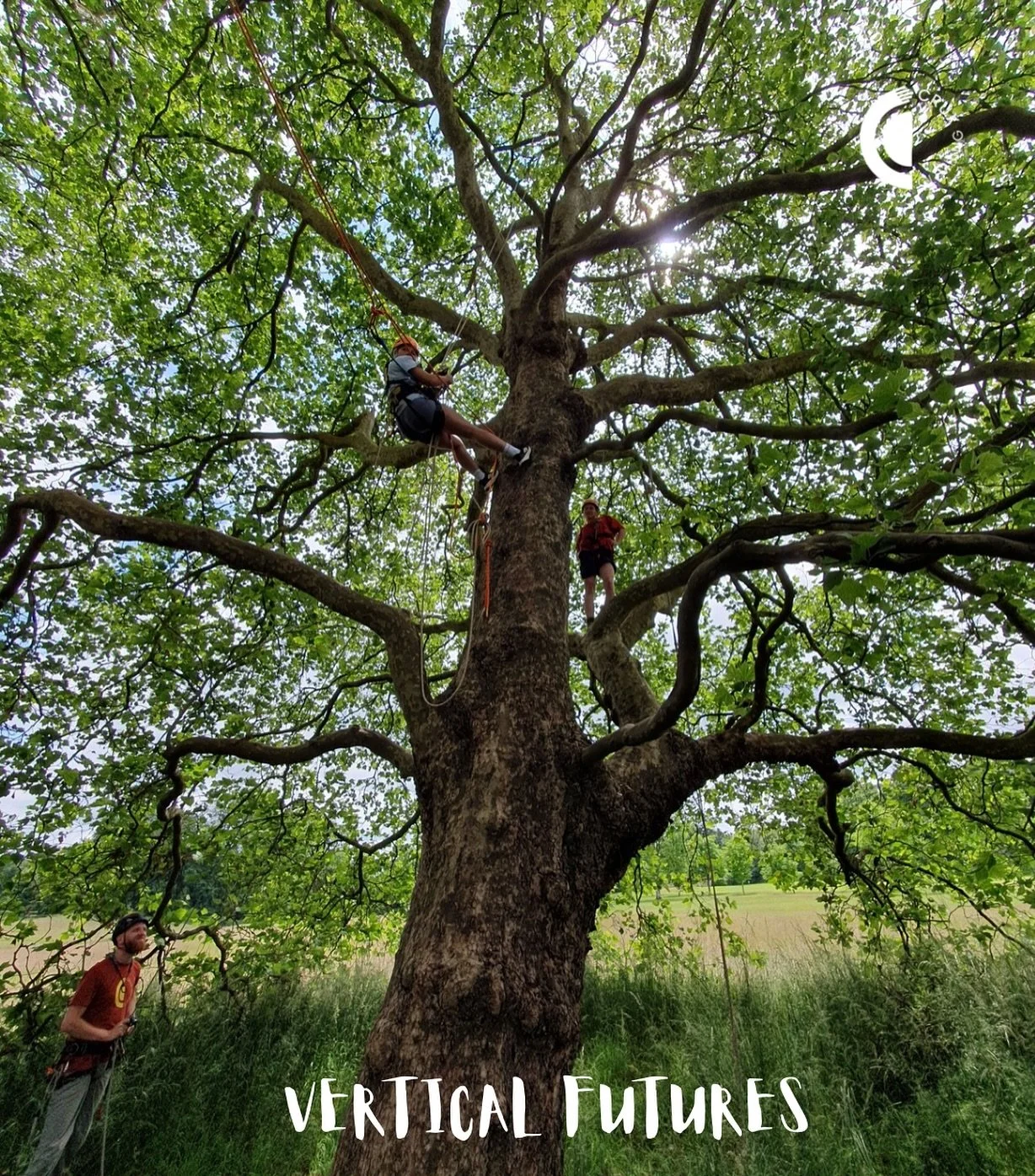 Vertical Futures

This scheme is designed to give young people some experience of the skills involved in working as a rock climbing instructor, an industrial rope access technician and an arborist.

We support young people to pursue training and cour