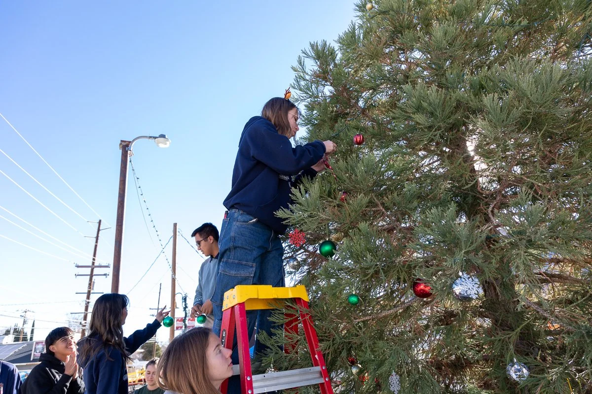Group of people decorating a large outdoor Christmas tree with red and green ornaments during daytime.