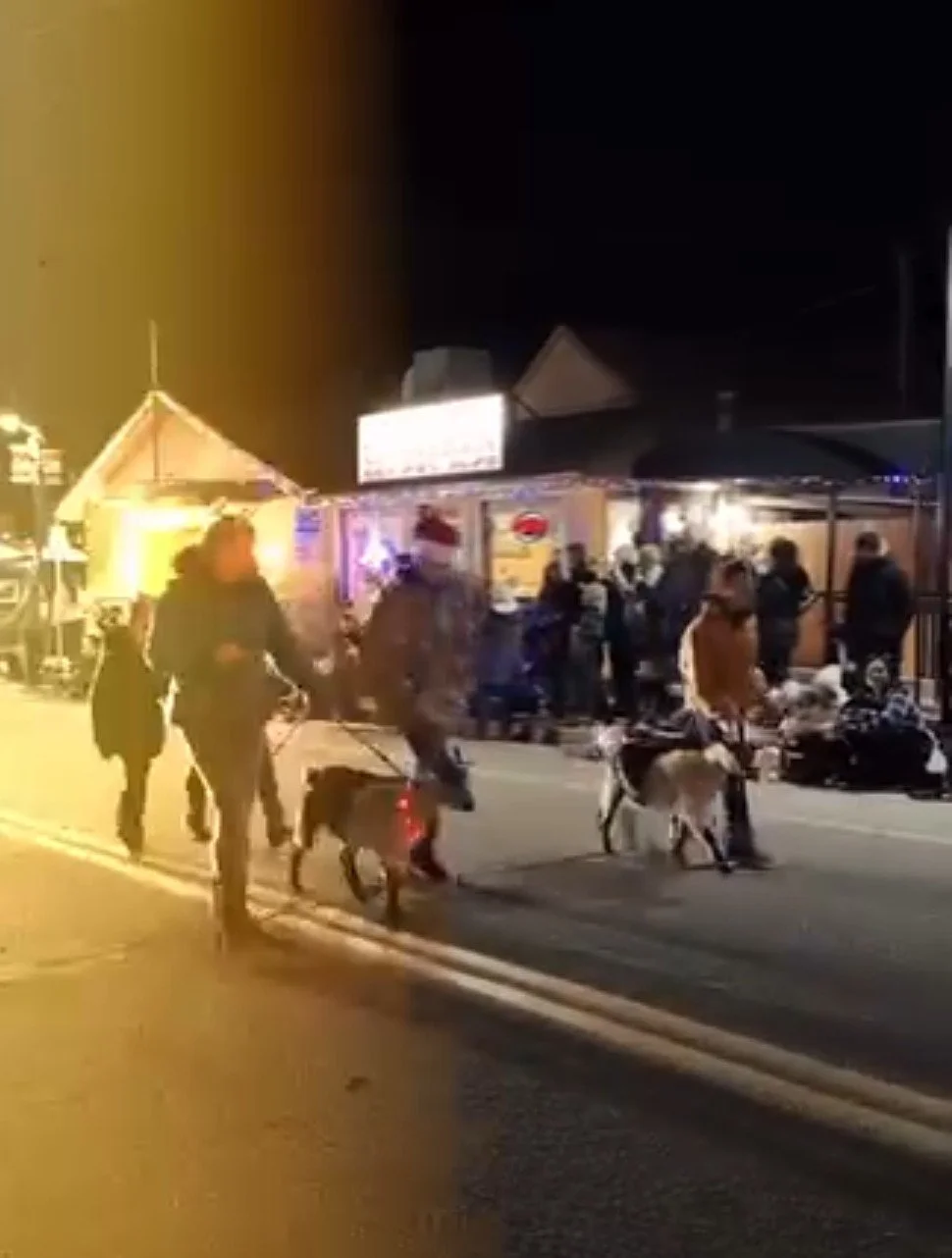 People walking dogs on a street at night in front of a lit-up food stand or shop.