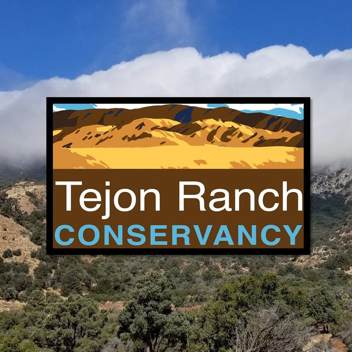 Explore the Frazier Park Area — Mountain Memories