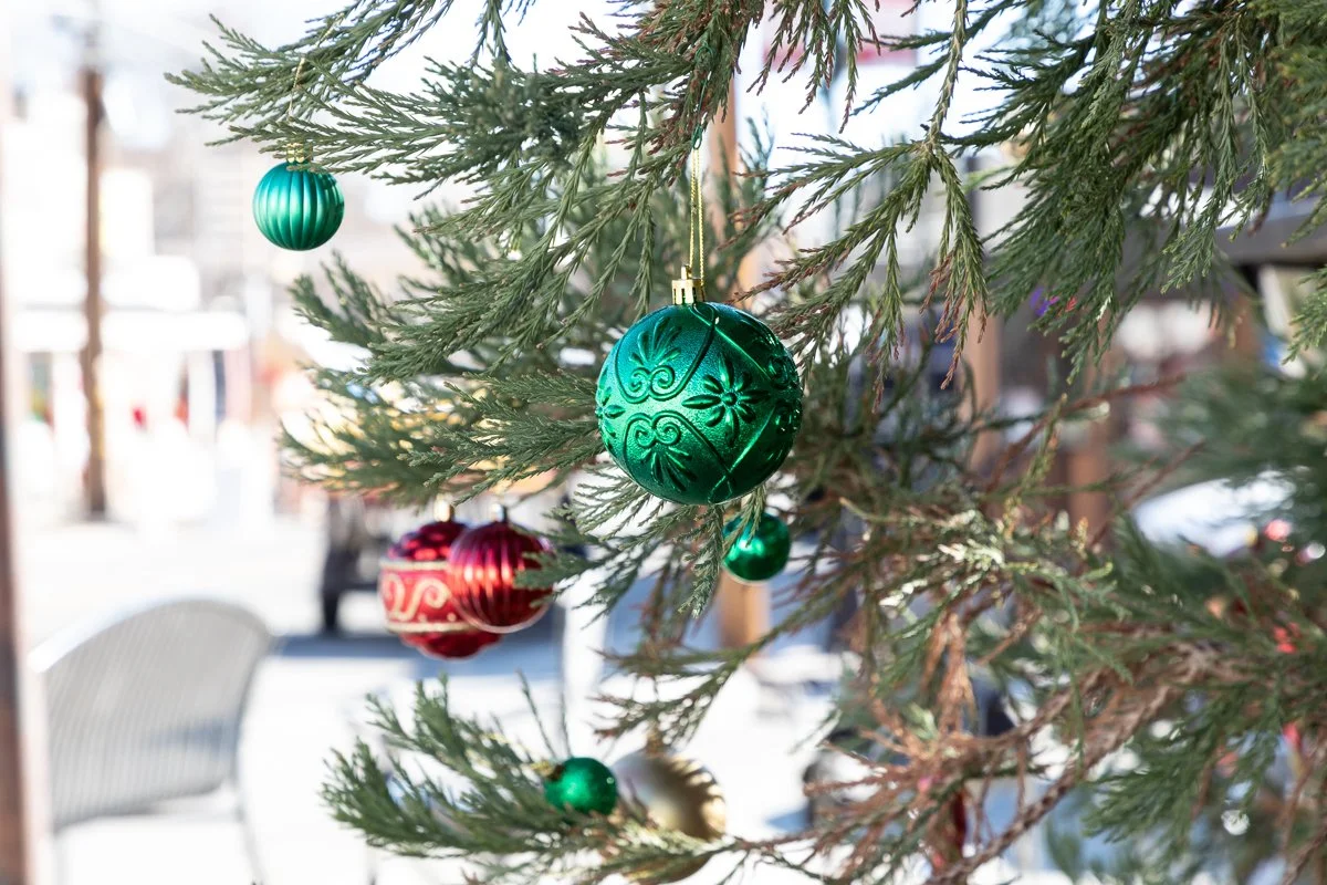 Close-up of a decorated Christmas tree with green, red, and gold ornaments hanging on its branches outside.