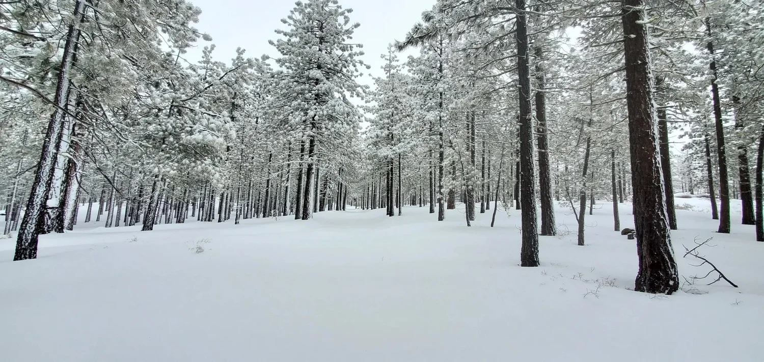 Explore the Frazier Park Area — Mountain Memories